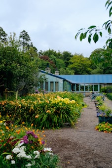A lush garden with a variety of vibrant flowers in yellow, orange, and purple blooms alongside a gravel path leading to a building with a blue roof. Trees and greenery fill the background, creating a serene and natural setting.