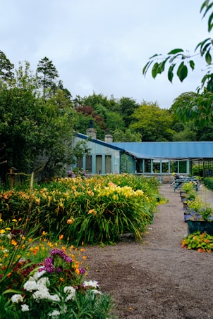 A lush garden with a variety of vibrant flowers in yellow, orange, and purple blooms alongside a gravel path leading to a building with a blue roof. Trees and greenery fill the background, creating a serene and natural setting.