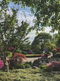 Beautifully manicured garden with vibrant flowers and trimmed bushes under soft sunlight.