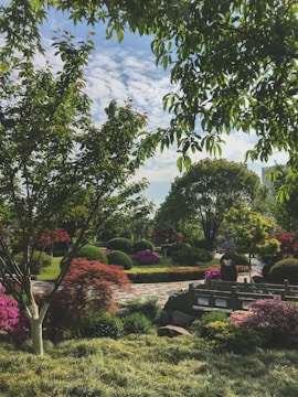 Beautifully manicured garden with vibrant flowers and trimmed bushes under soft sunlight.