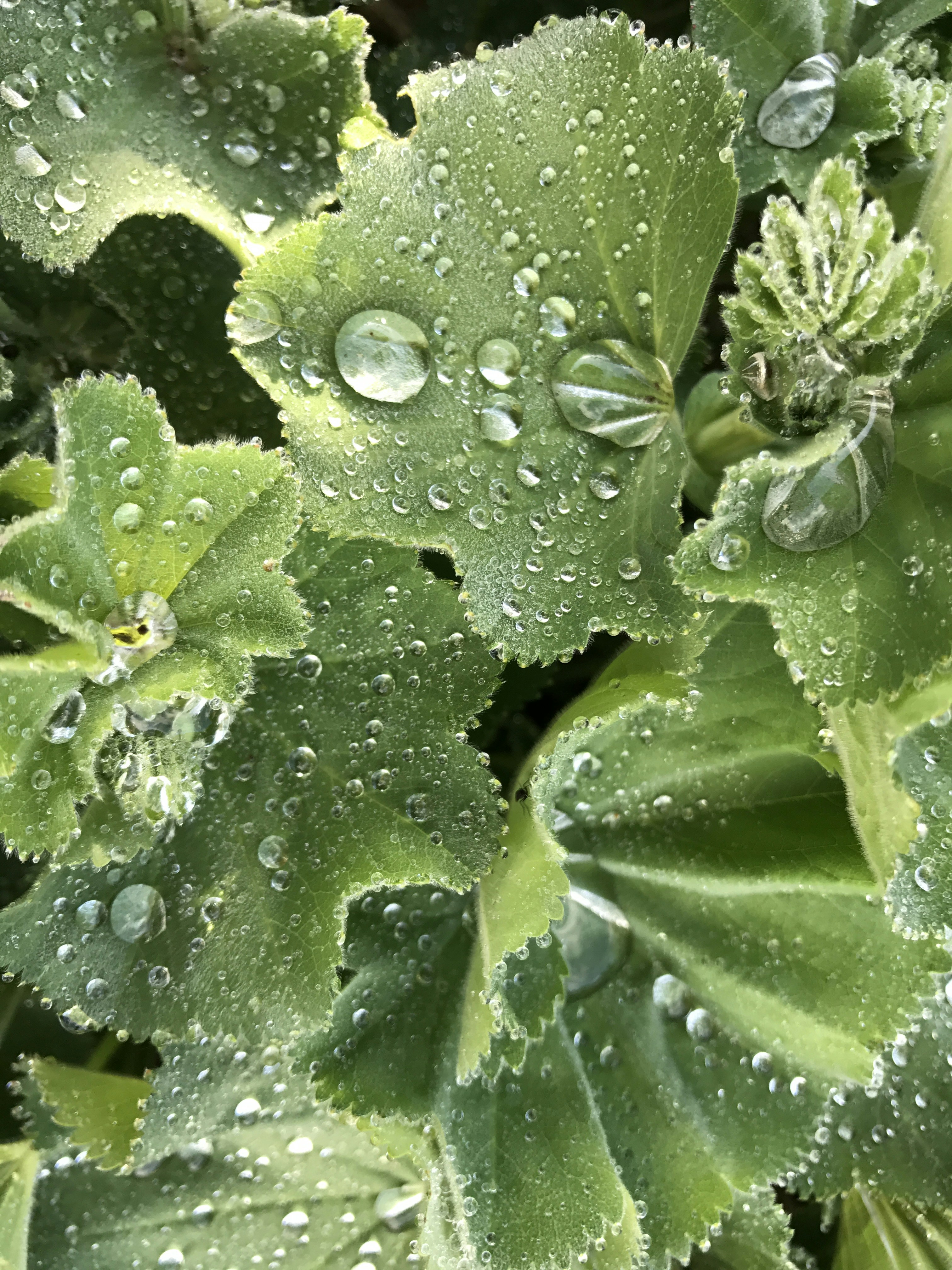 Photo by photosfromhome