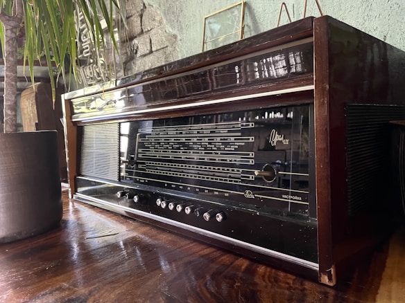 An antique wooden radio sits on a wooden surface, featuring a black front panel with dials and vintage tuning indicators. The surrounding decor includes a potted plant with long, thin leaves and a textured stone wall with subtle greenish tones in the background.