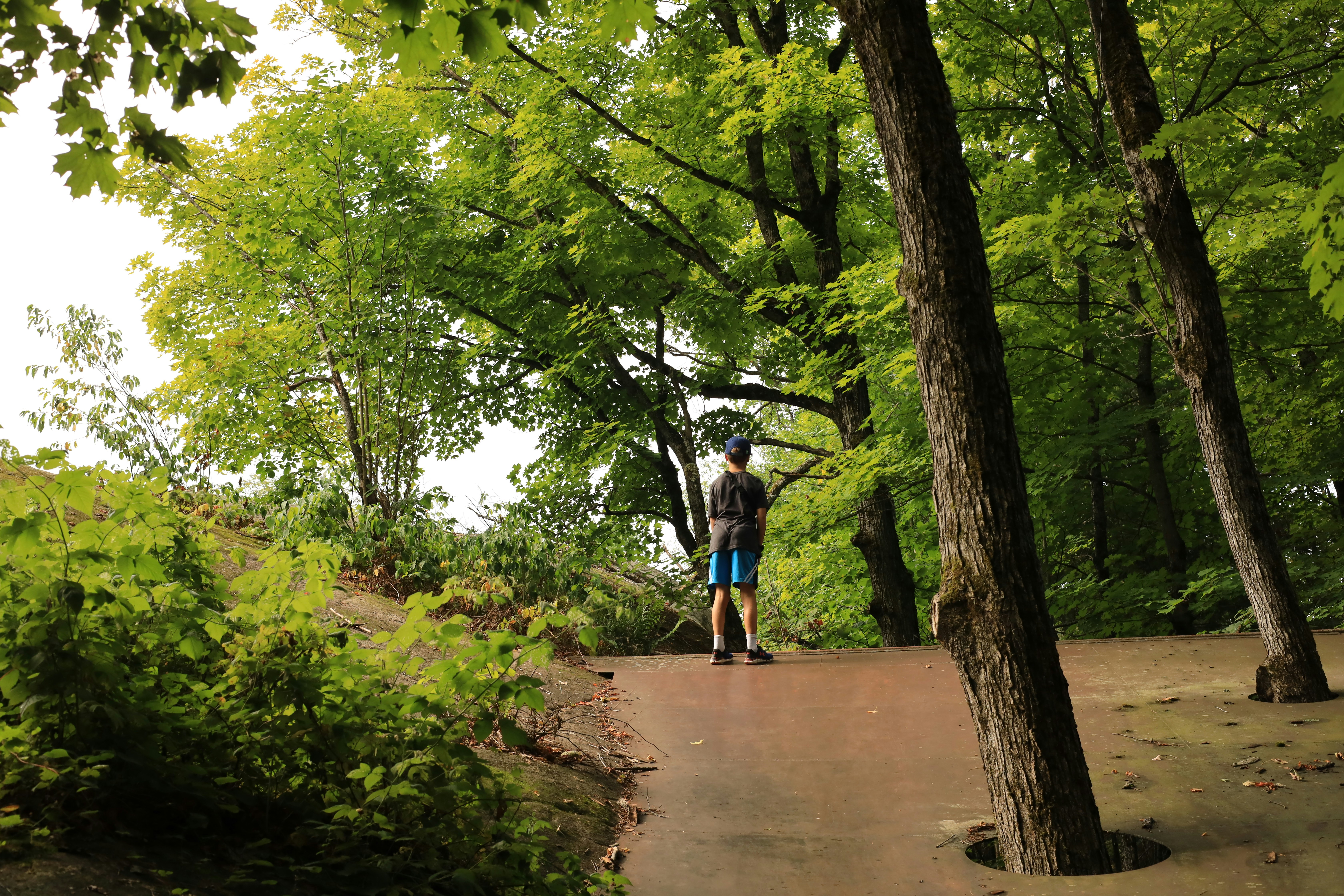 Photo by richardworks