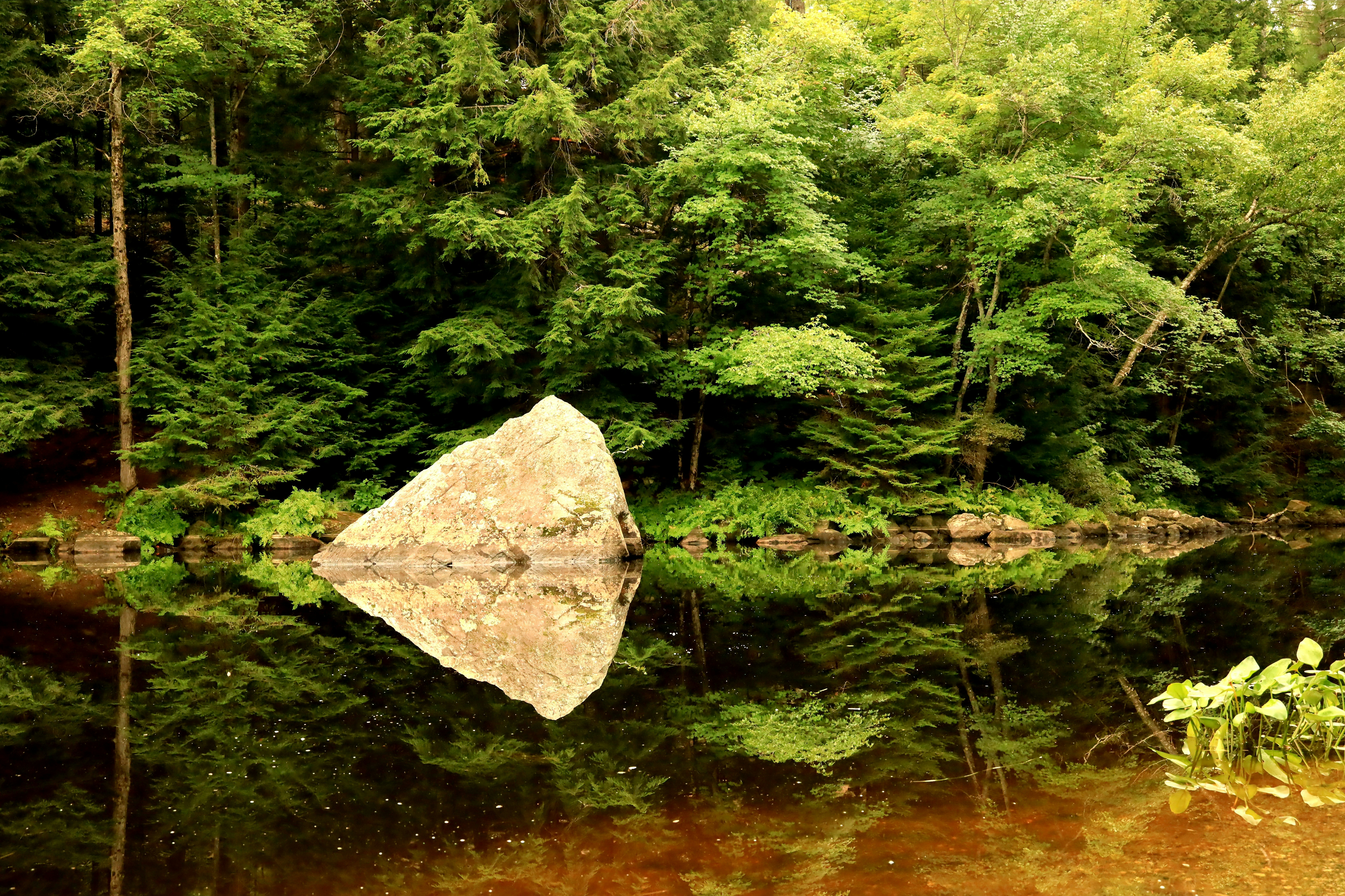 a large rock in a river