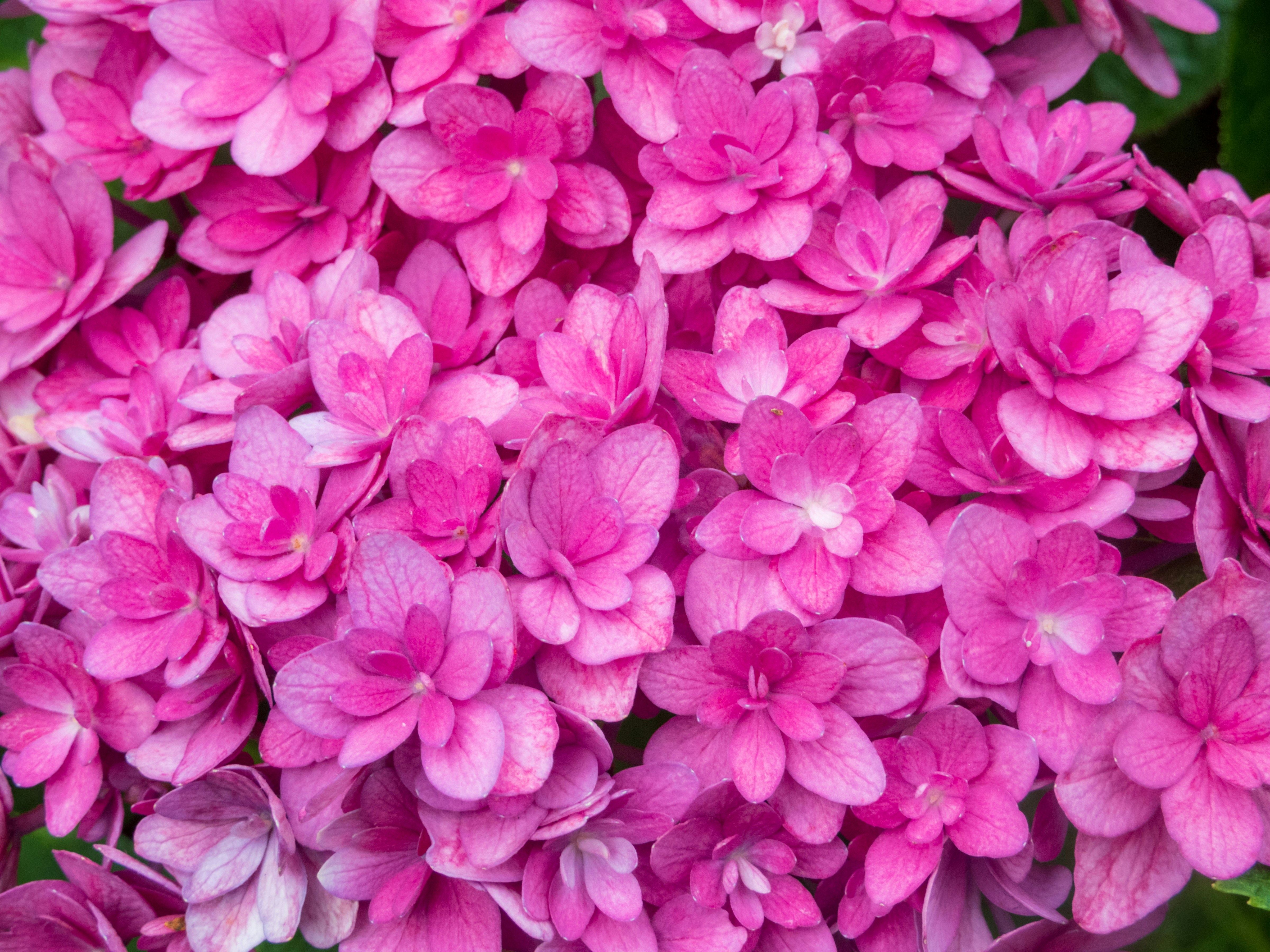 Photo by heppoko_yama