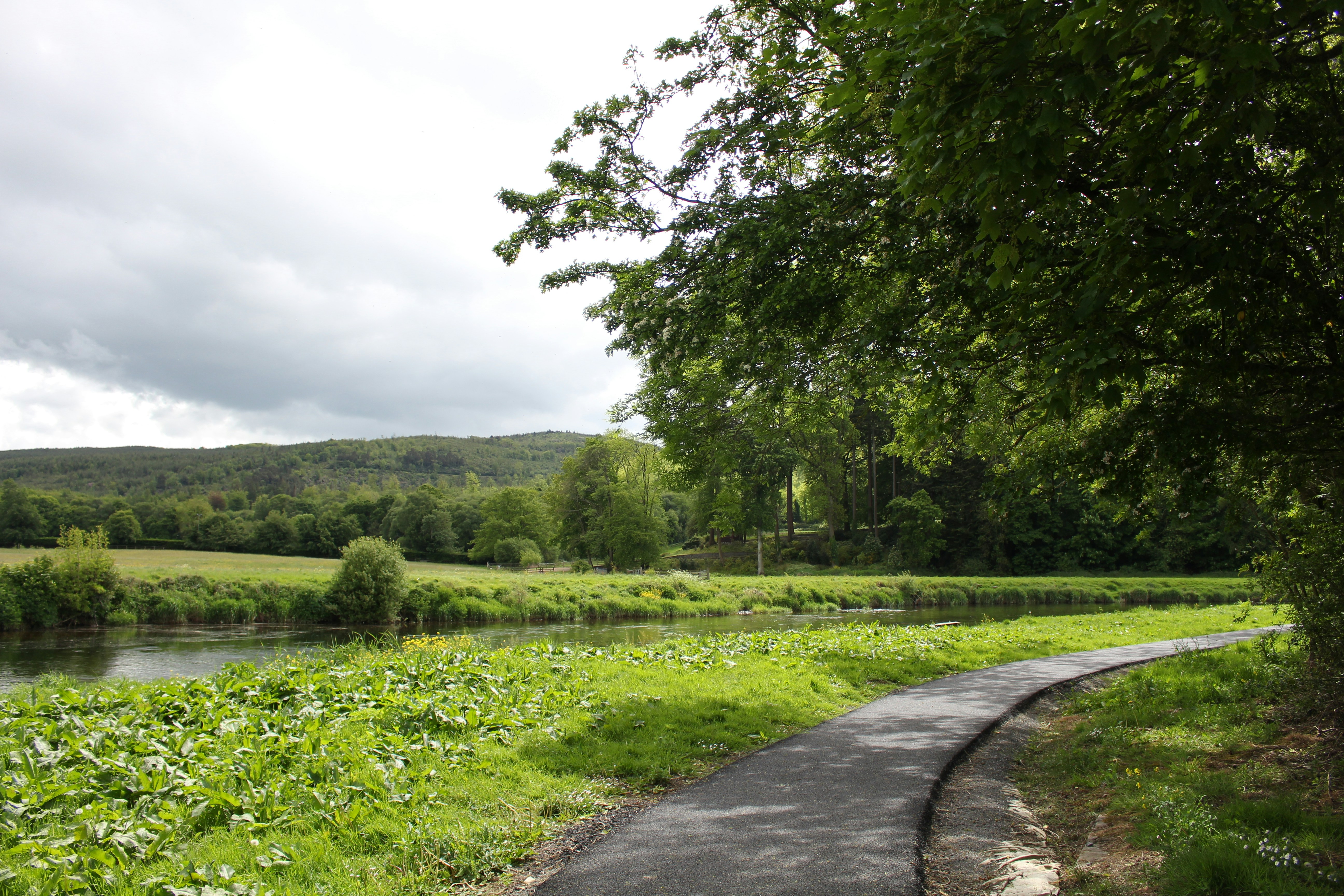 Photo by heymichellemac