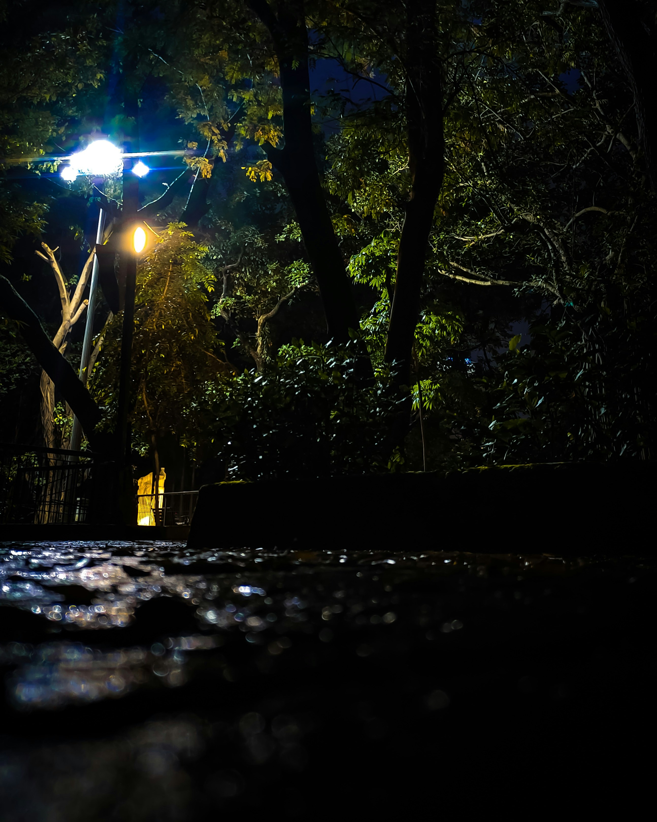 Photo by deepak9617