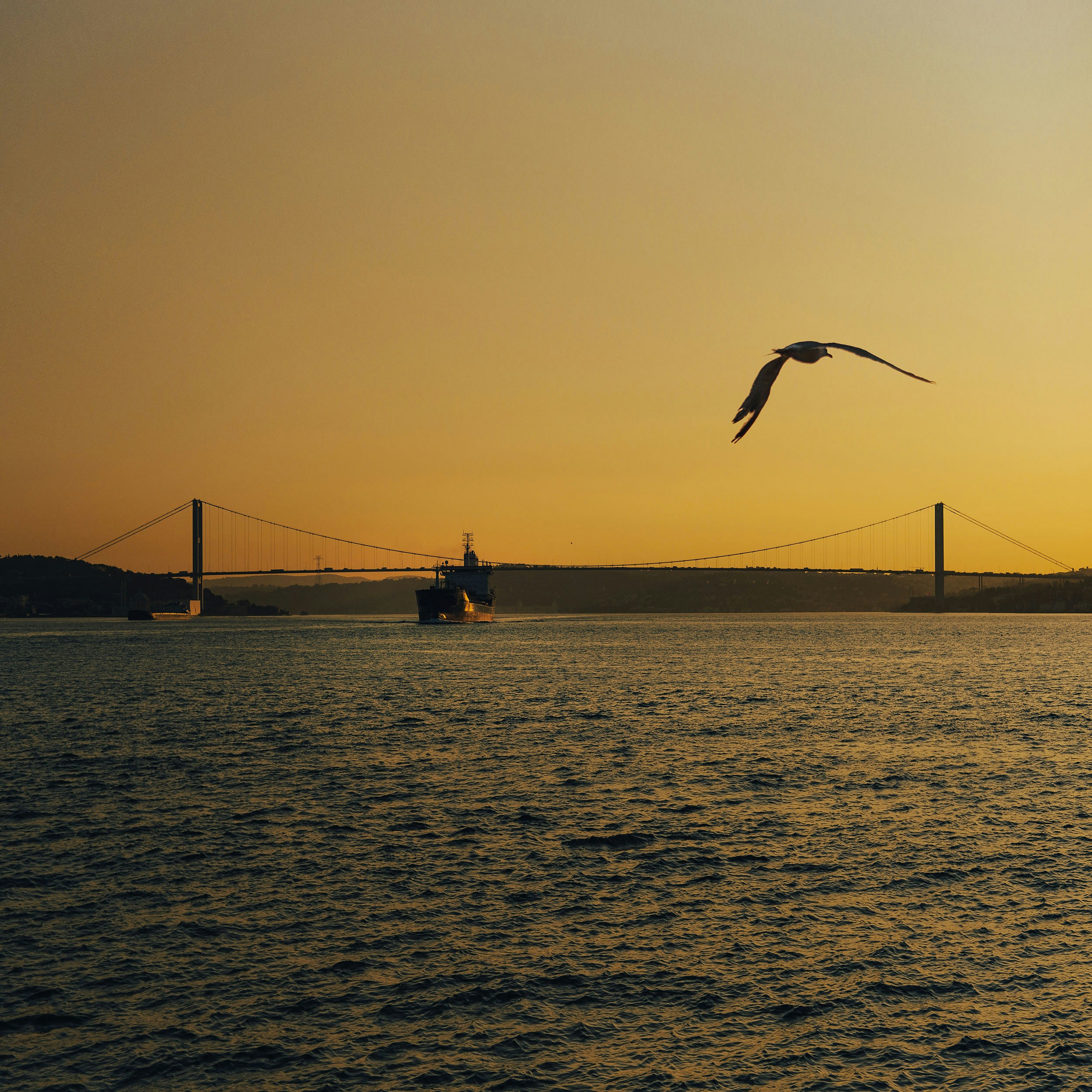 Photo by erimkutlukan