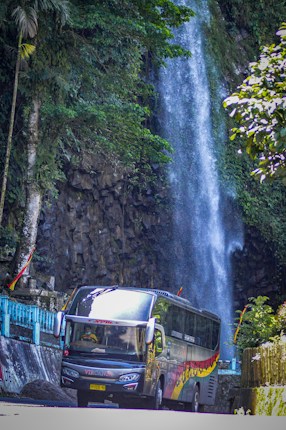 A large colorful bus is driving past a scenic waterfall. The waterfall cascades down a rocky cliff surrounded by lush greenery. Tall trees and vibrant foliage frame the scene, creating a natural backdrop.