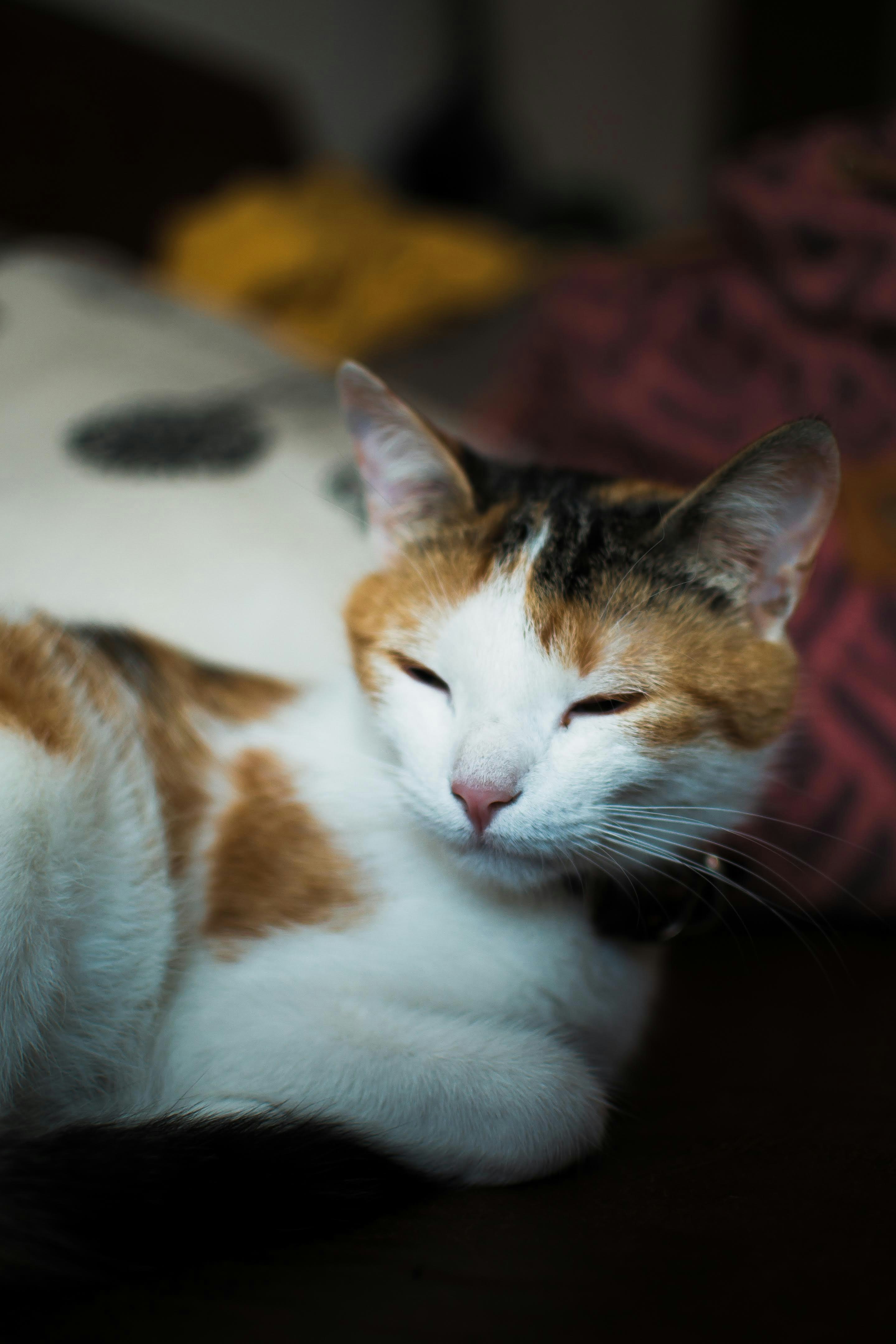 Letting Out a Deep Sigh Beside You (image credits: unsplash)