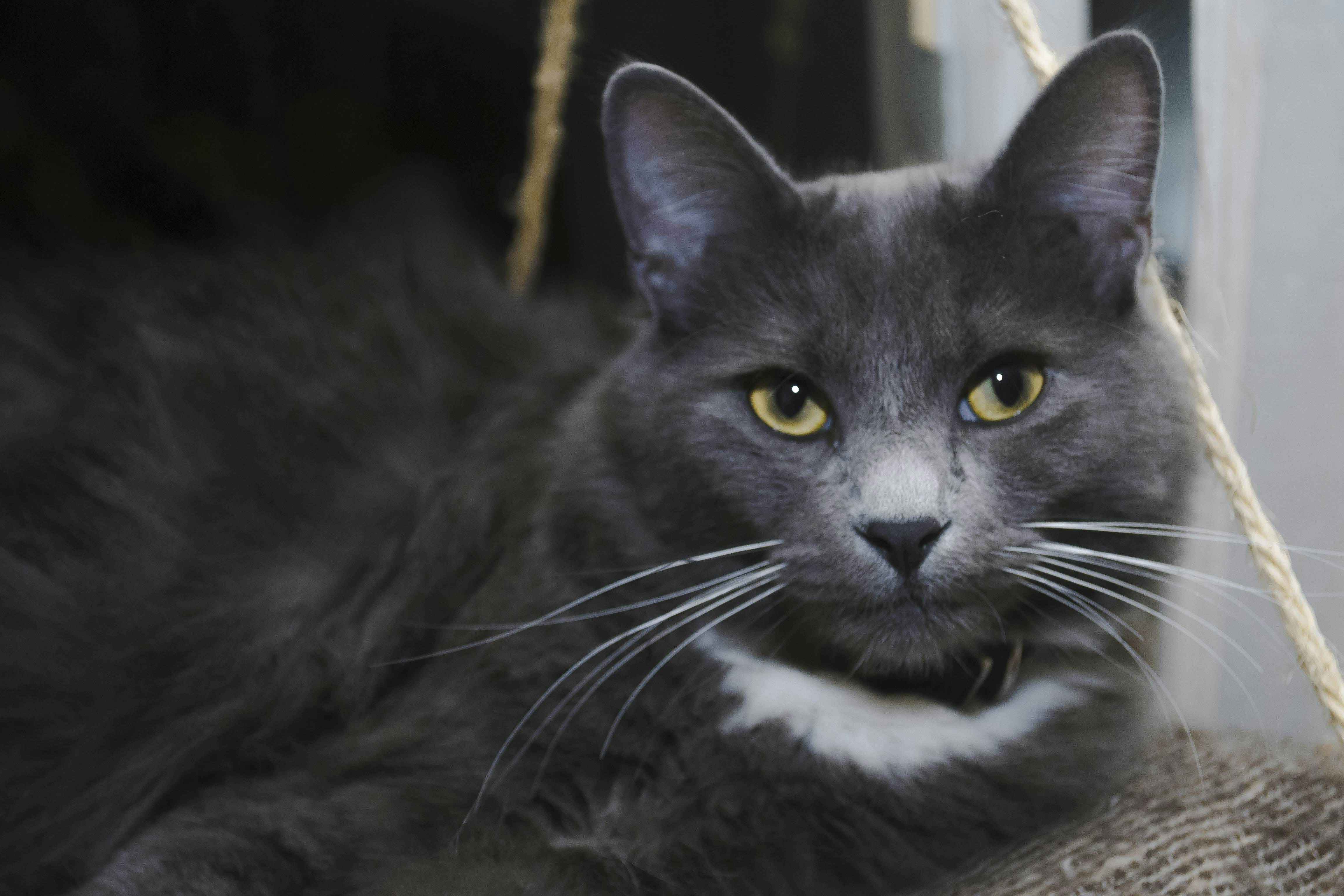 Photo by diseniatica