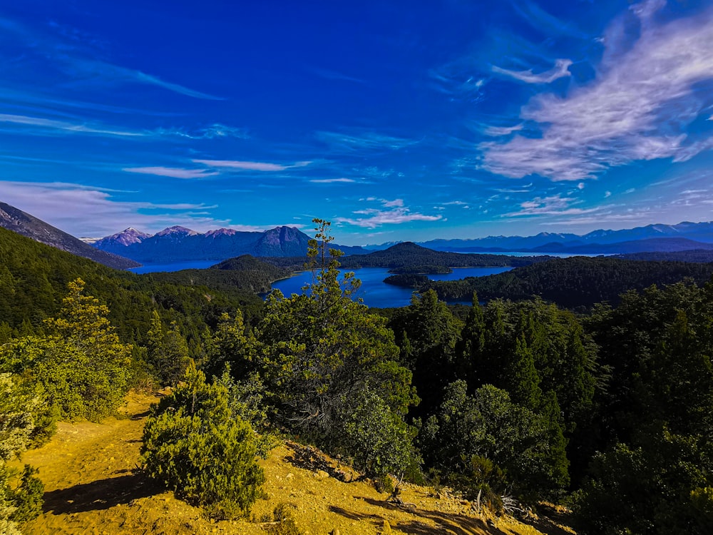 a landscape with trees and mountains in the background