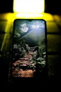 A smartphone screen displays a forest scene with a rocky path leading through foliage. Sunlight streams through the trees, casting a soft glow. The background setting is illuminated brightly, creating a stark contrast with the darker foreground.