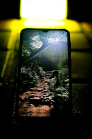 Close-up of a Hammer phone screen displaying outdoor navigation in bright sunlight.