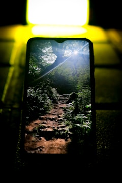 A smartphone screen displays a forest scene with a rocky path leading through foliage. Sunlight streams through the trees, casting a soft glow. The background setting is illuminated brightly, creating a stark contrast with the darker foreground.