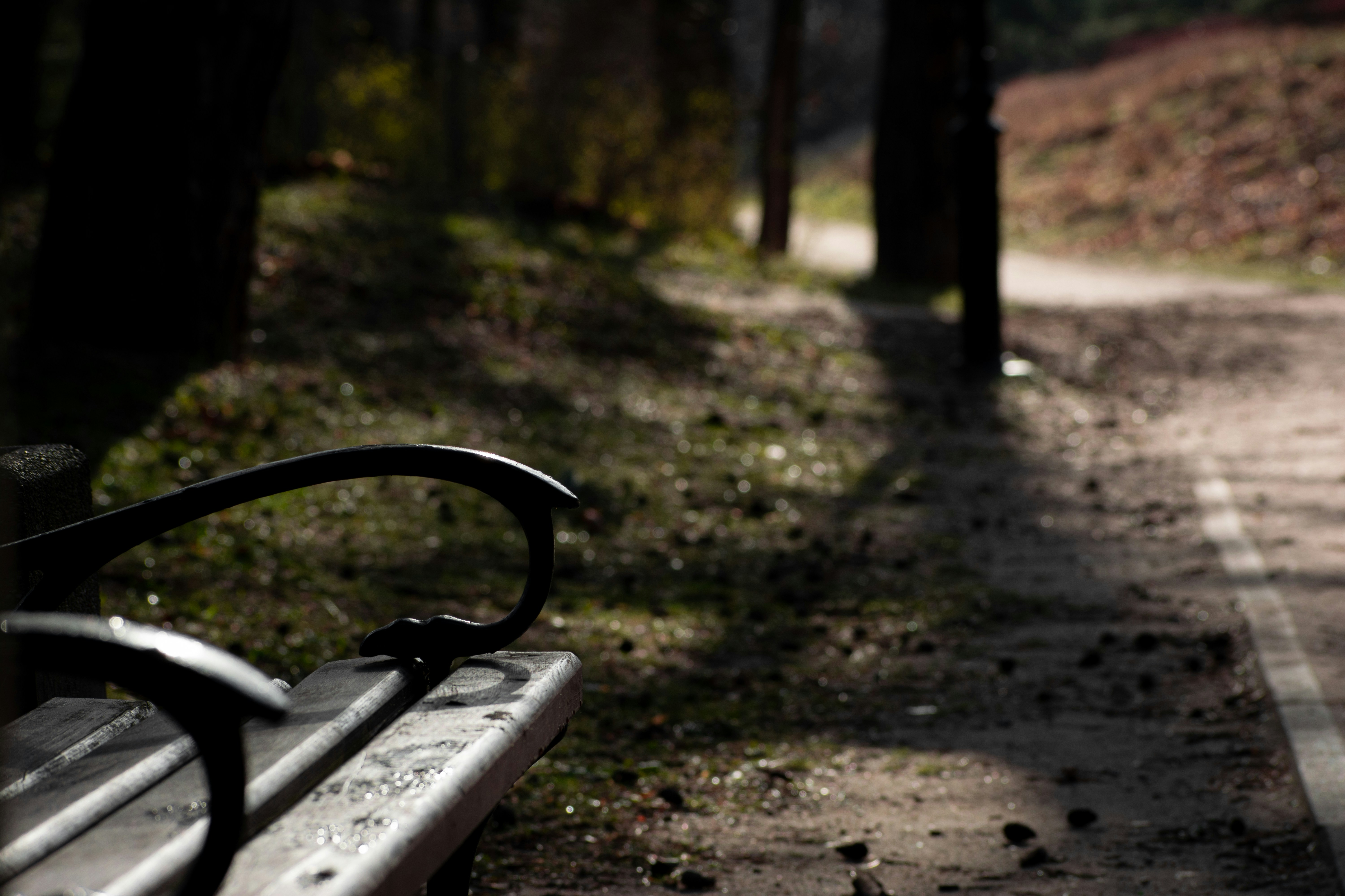 Photo by a_s1monenkov