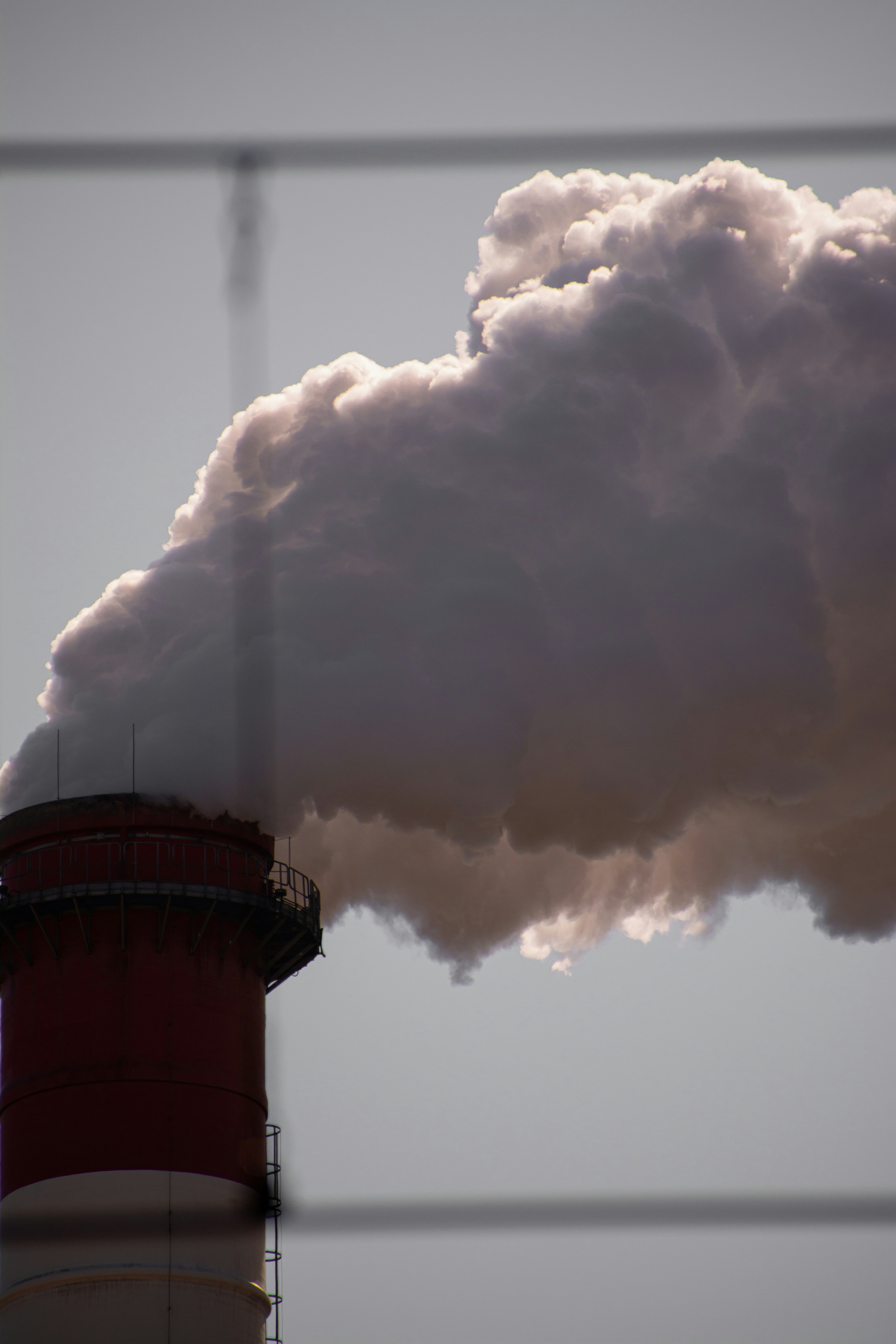 Photo by a_s1monenkov