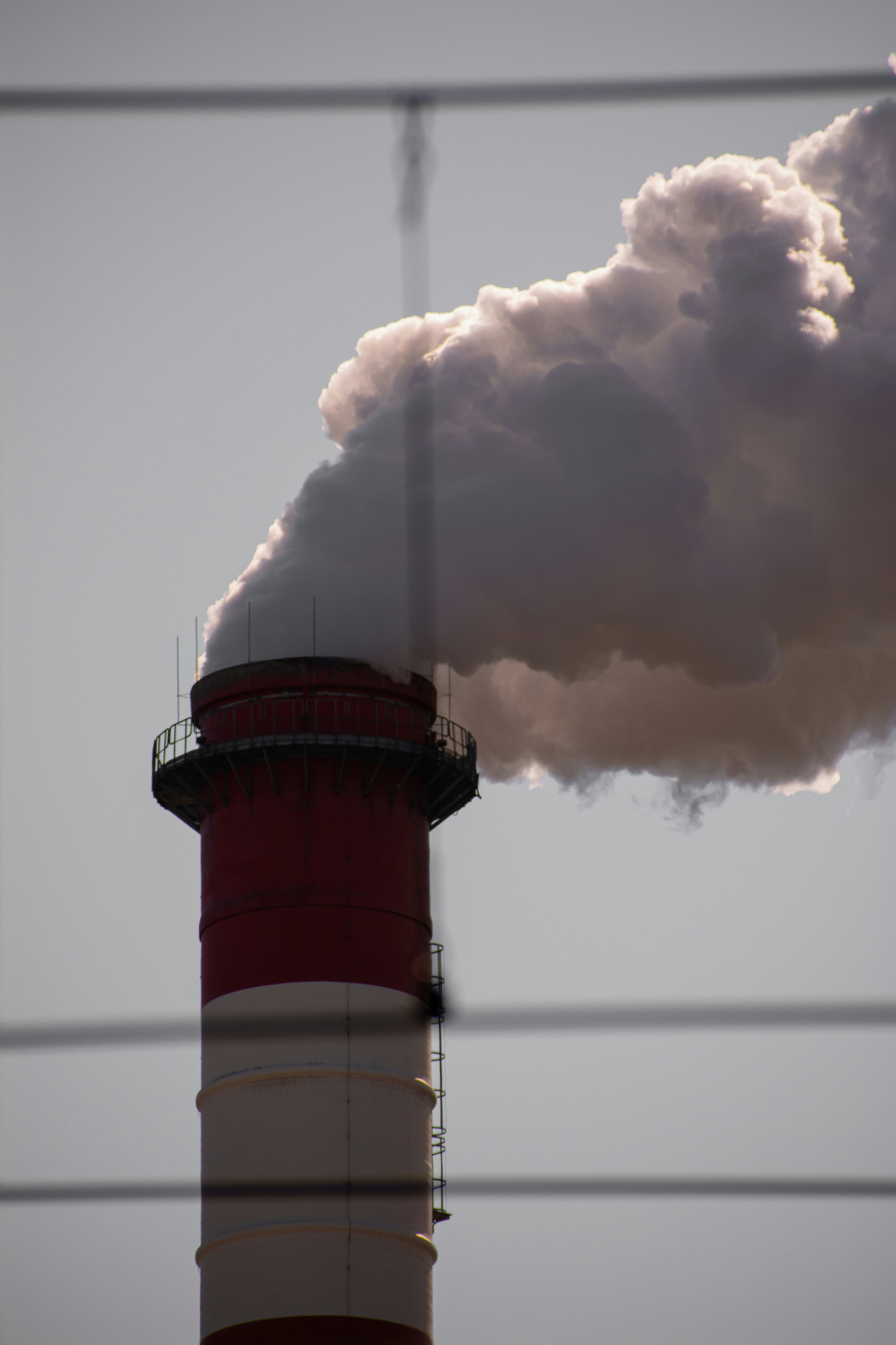 Photo by a_s1monenkov