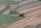 An aerial view of expansive agricultural fields characterized by different shades and textures. The fields are segmented into various rectangular plots, each displaying varying tones of green, brown, and tan. In the center, a small cluster of trees interrupts the continuous landscape, providing a natural focus point.