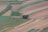 An aerial view of expansive agricultural fields characterized by different shades and textures. The fields are segmented into various rectangular plots, each displaying varying tones of green, brown, and tan. In the center, a small cluster of trees interrupts the continuous landscape, providing a natural focus point.