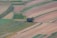 An aerial view of expansive agricultural fields characterized by different shades and textures. The fields are segmented into various rectangular plots, each displaying varying tones of green, brown, and tan. In the center, a small cluster of trees interrupts the continuous landscape, providing a natural focus point.
