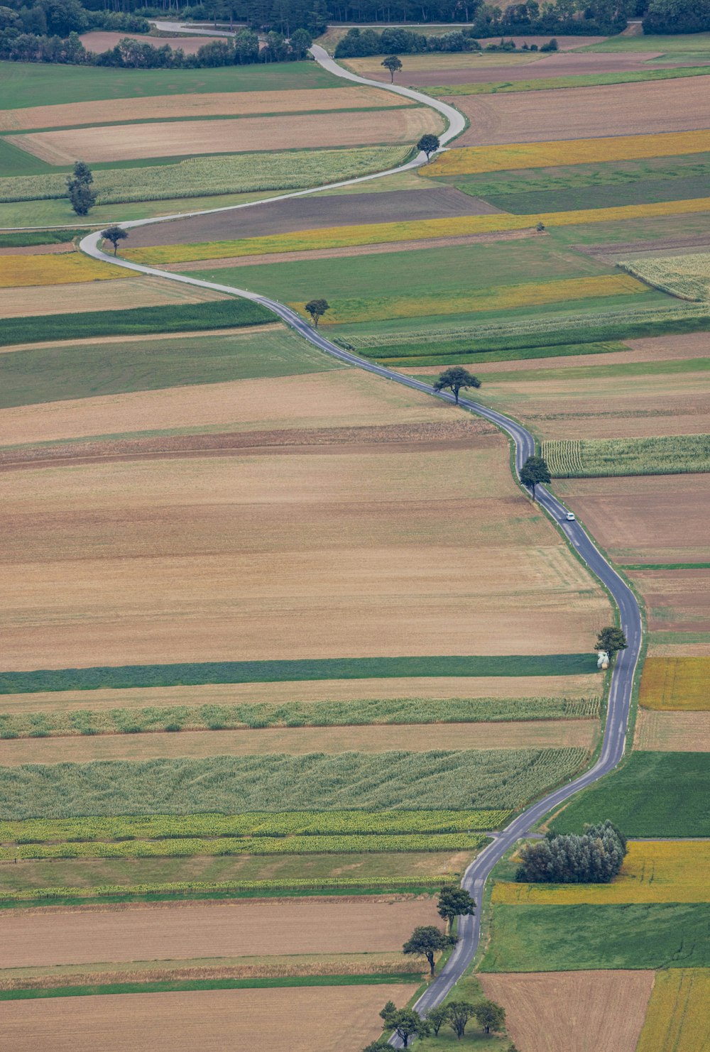 a long straight road with a few cars on it