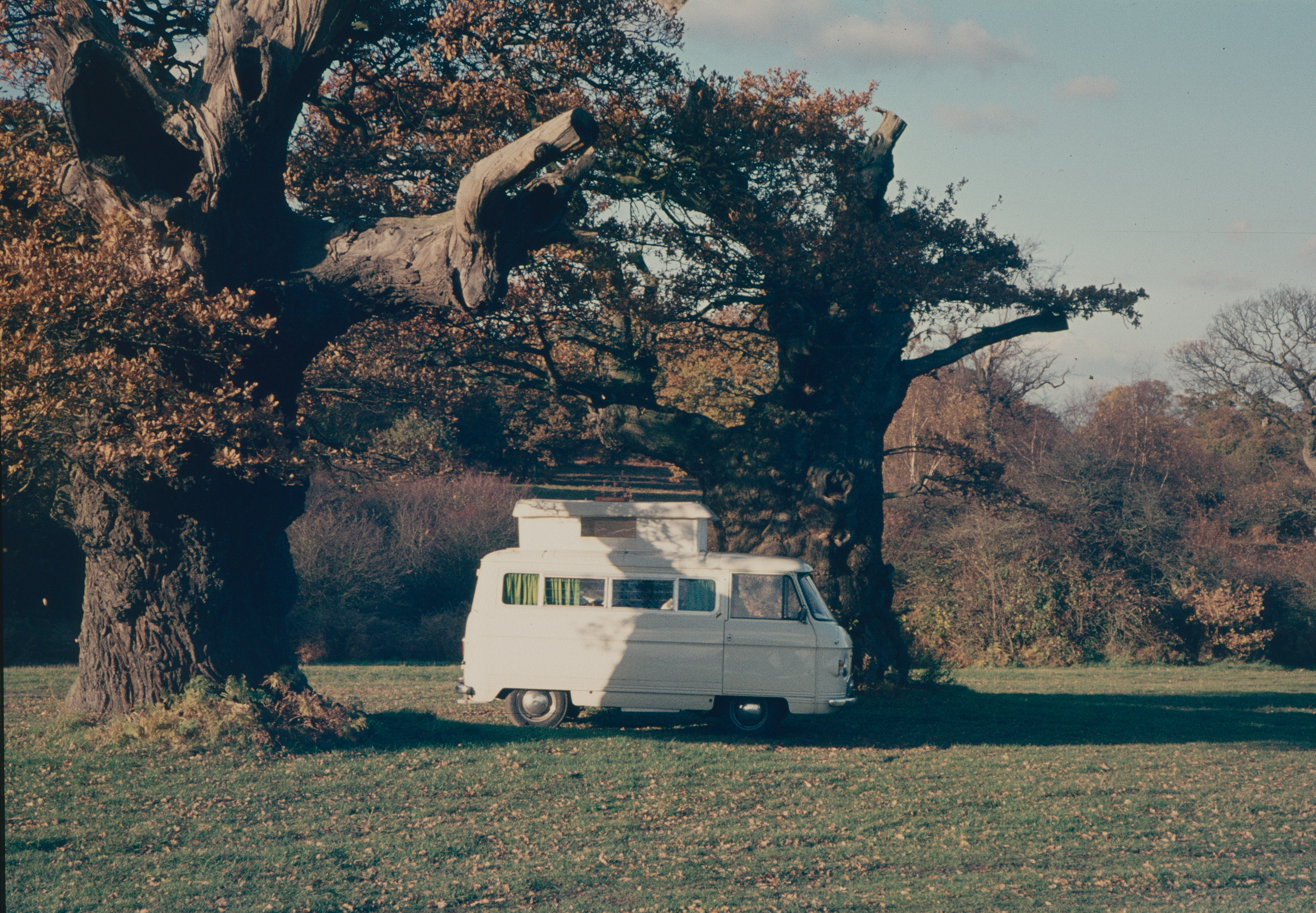 Photo by anniespratt