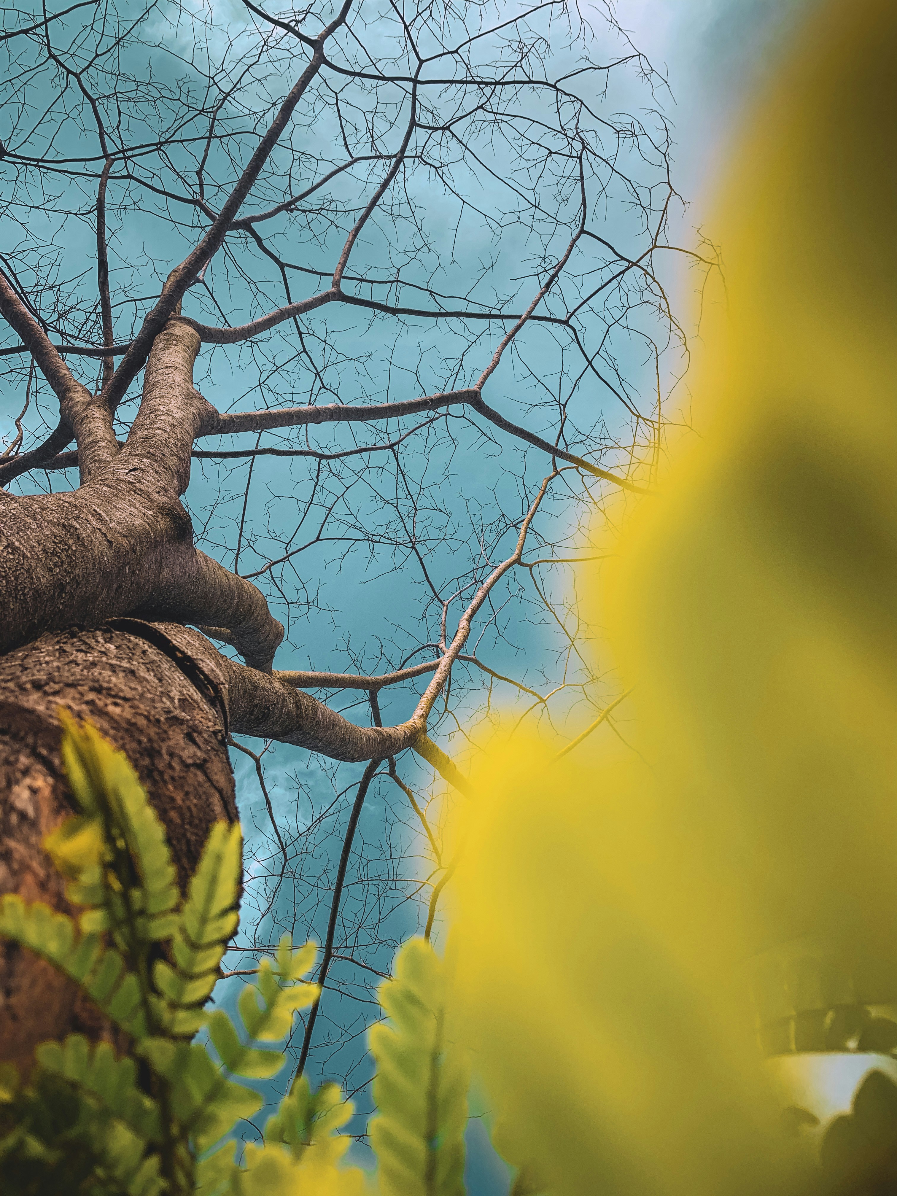 Photo by topeasokere