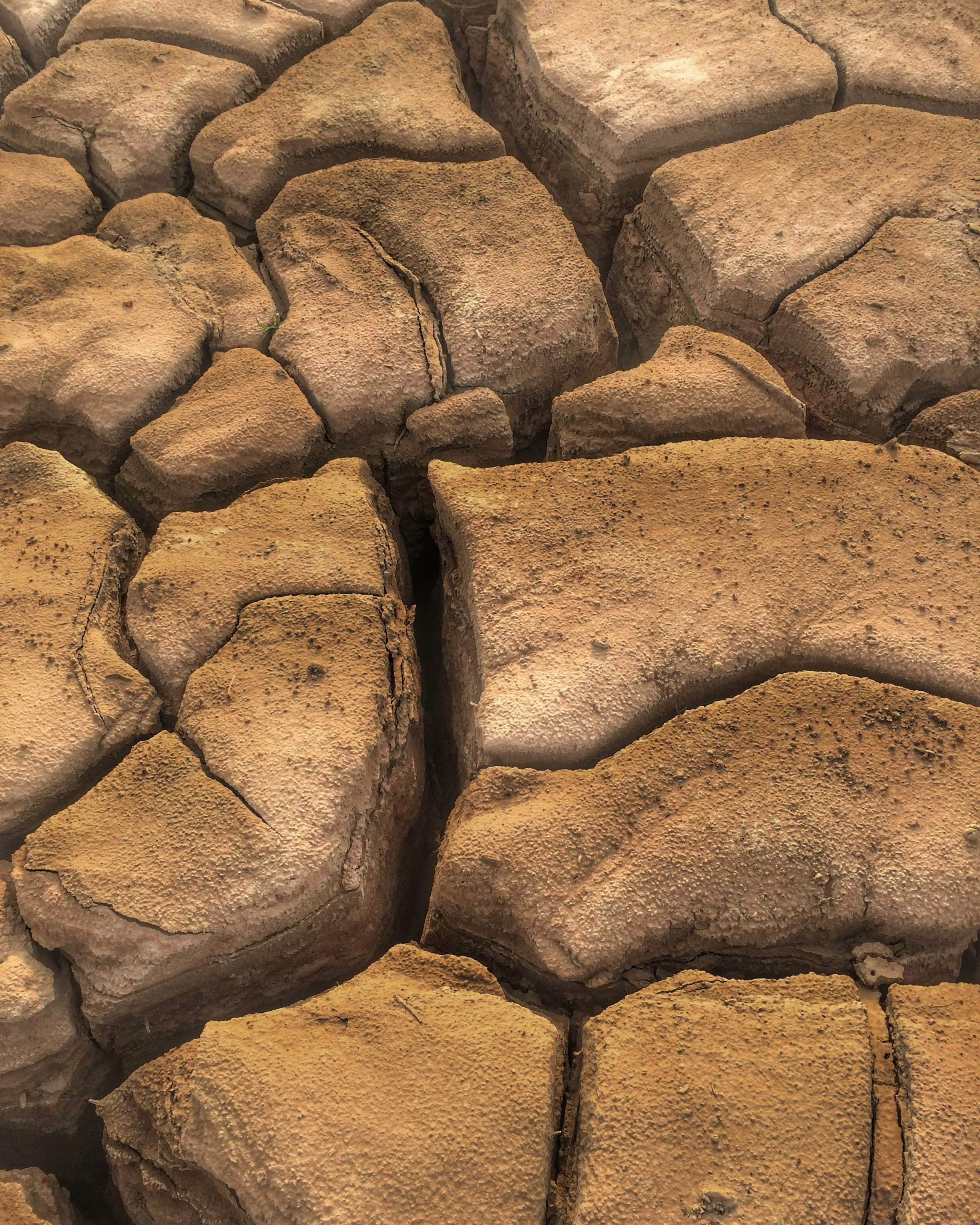 Photo by topeasokere