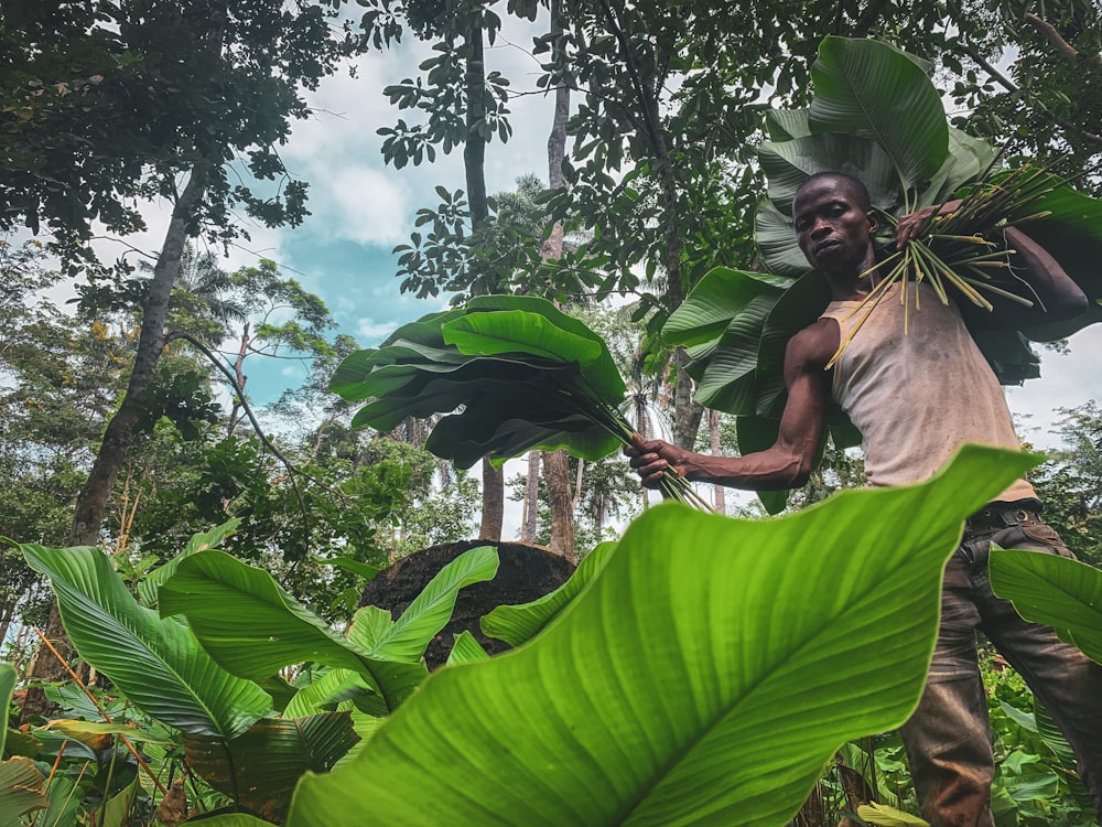 a person cutting a large leaf