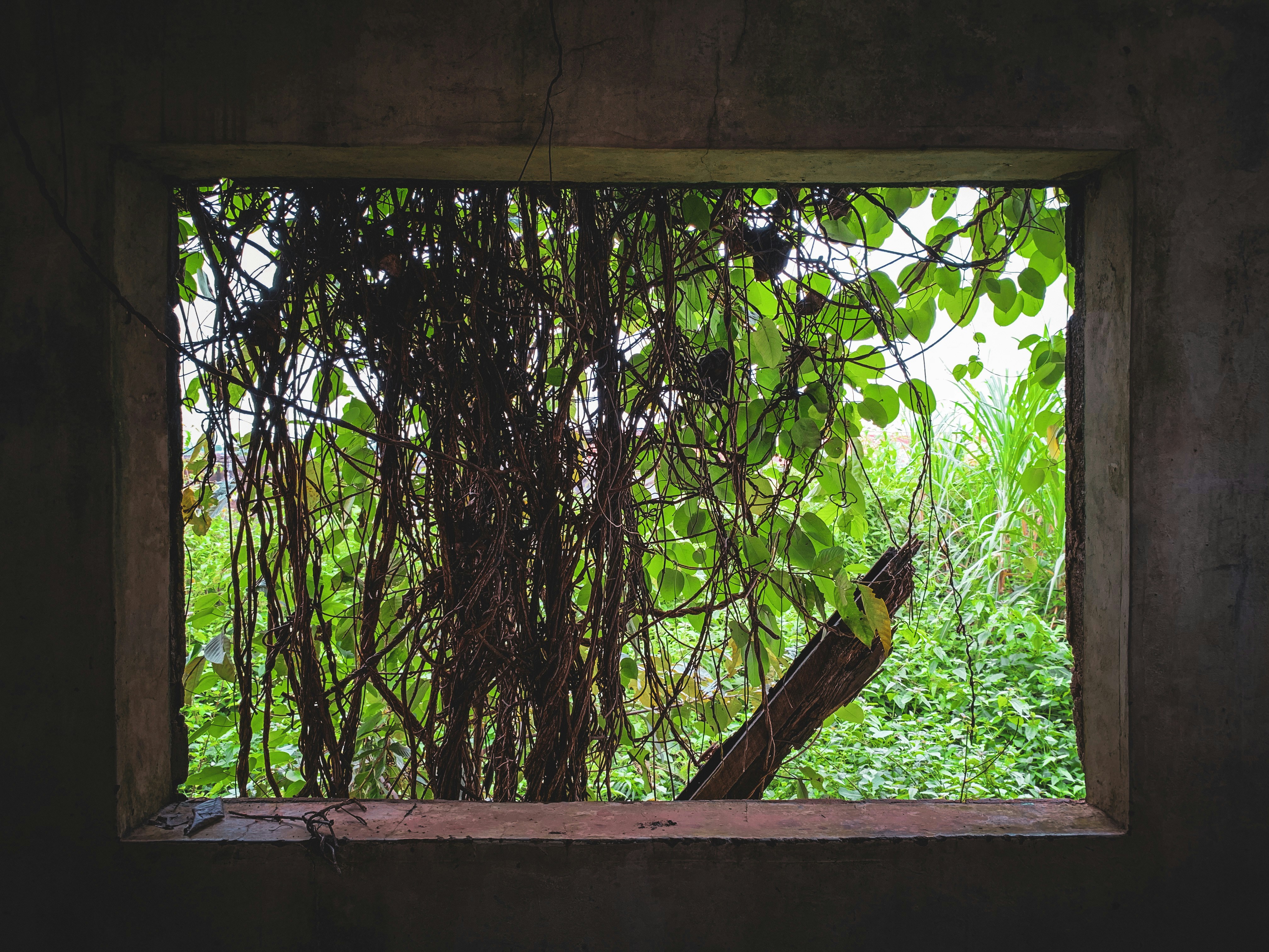 Photo by topeasokere