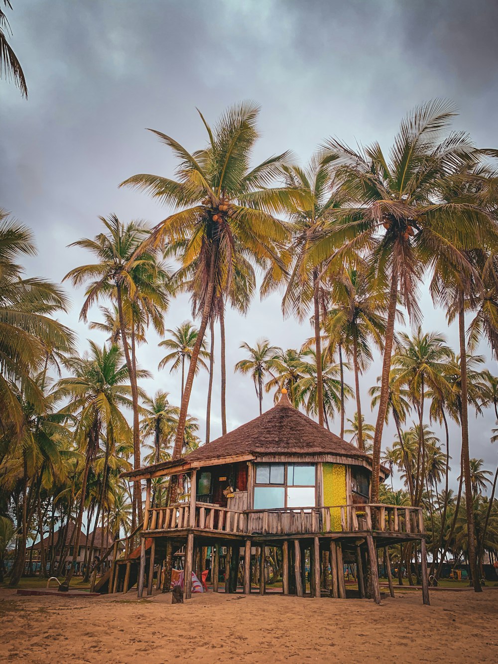 a house surrounded by palm trees