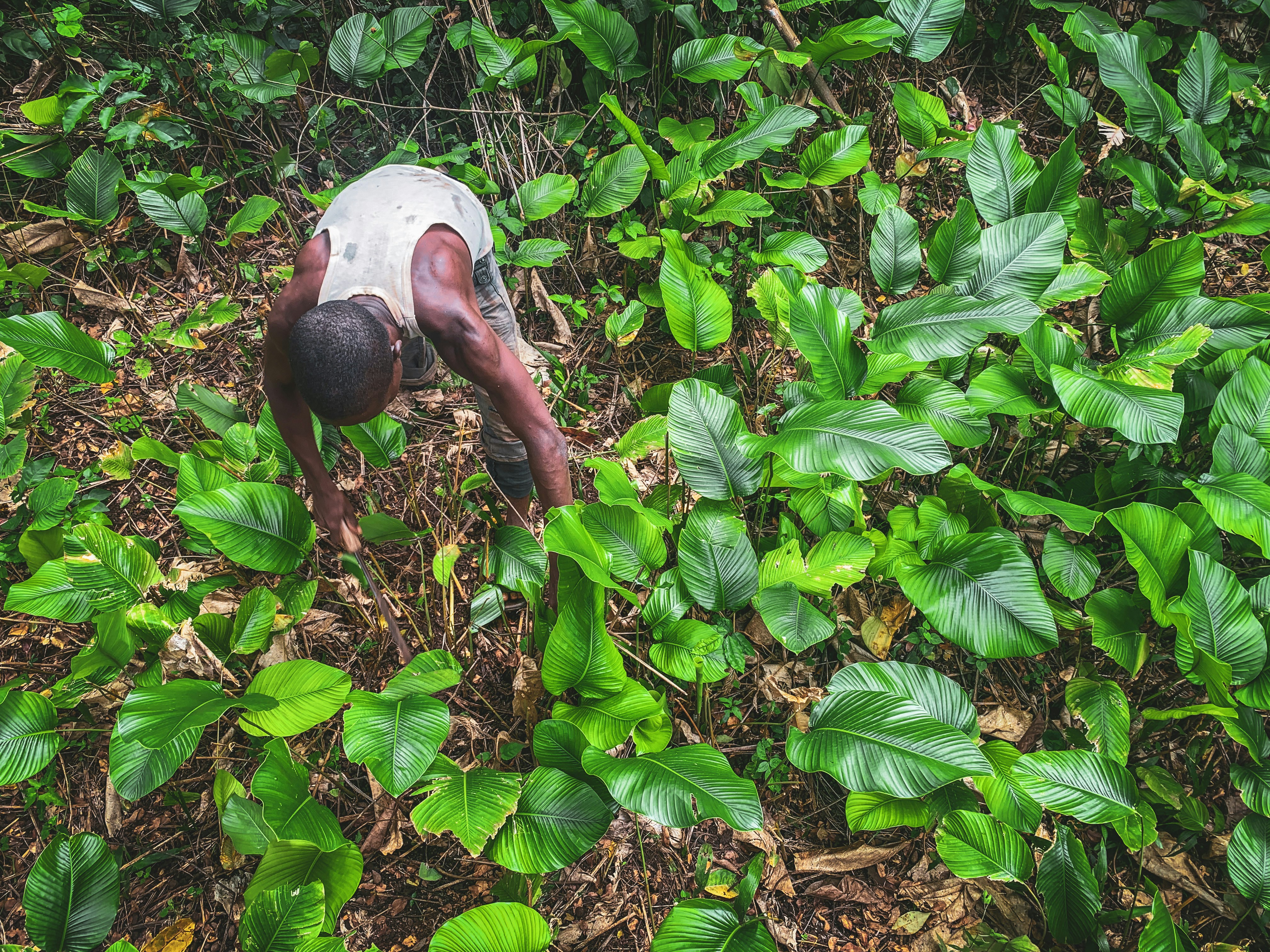 Photo by topeasokere