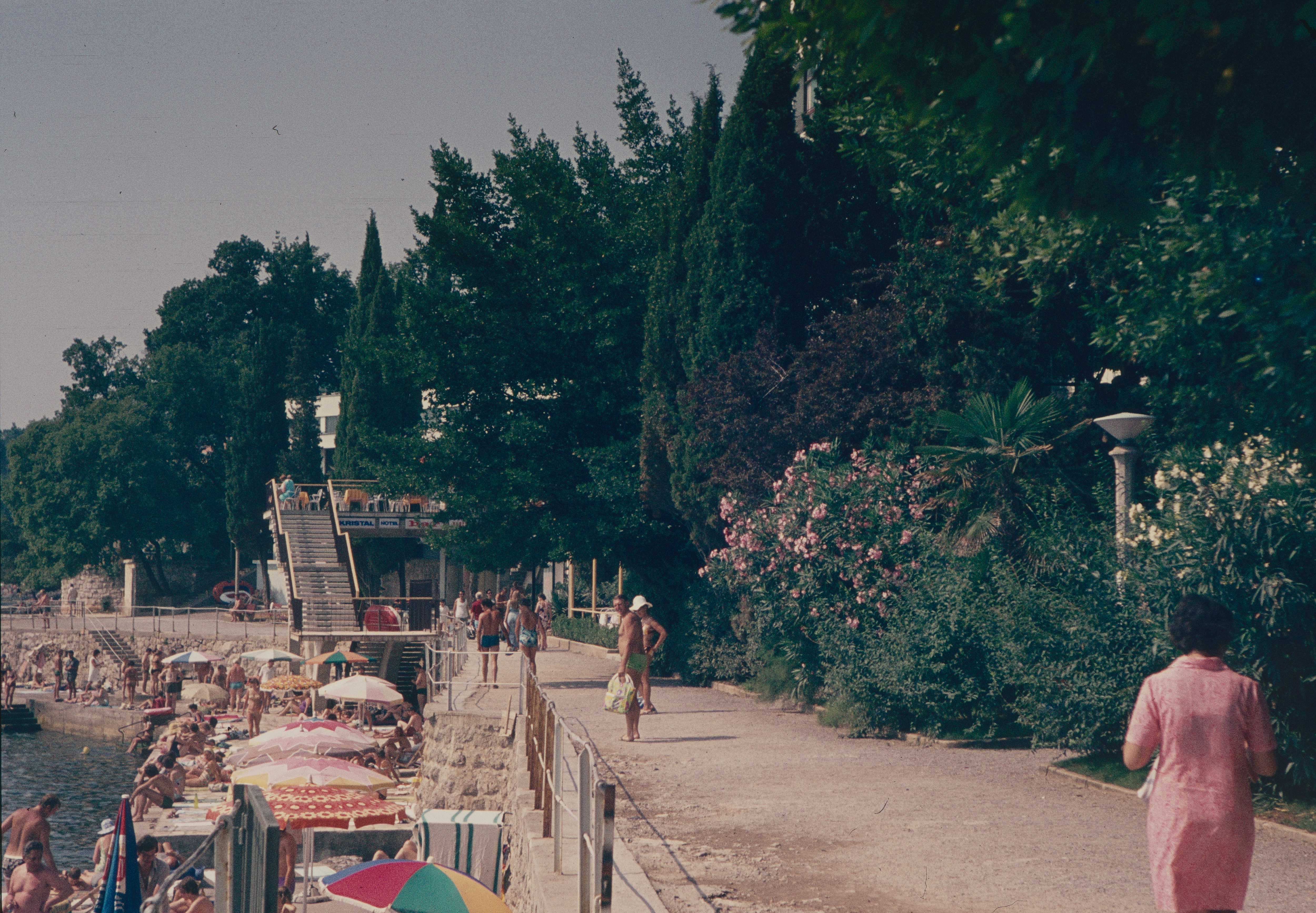 people walking on a path near a river