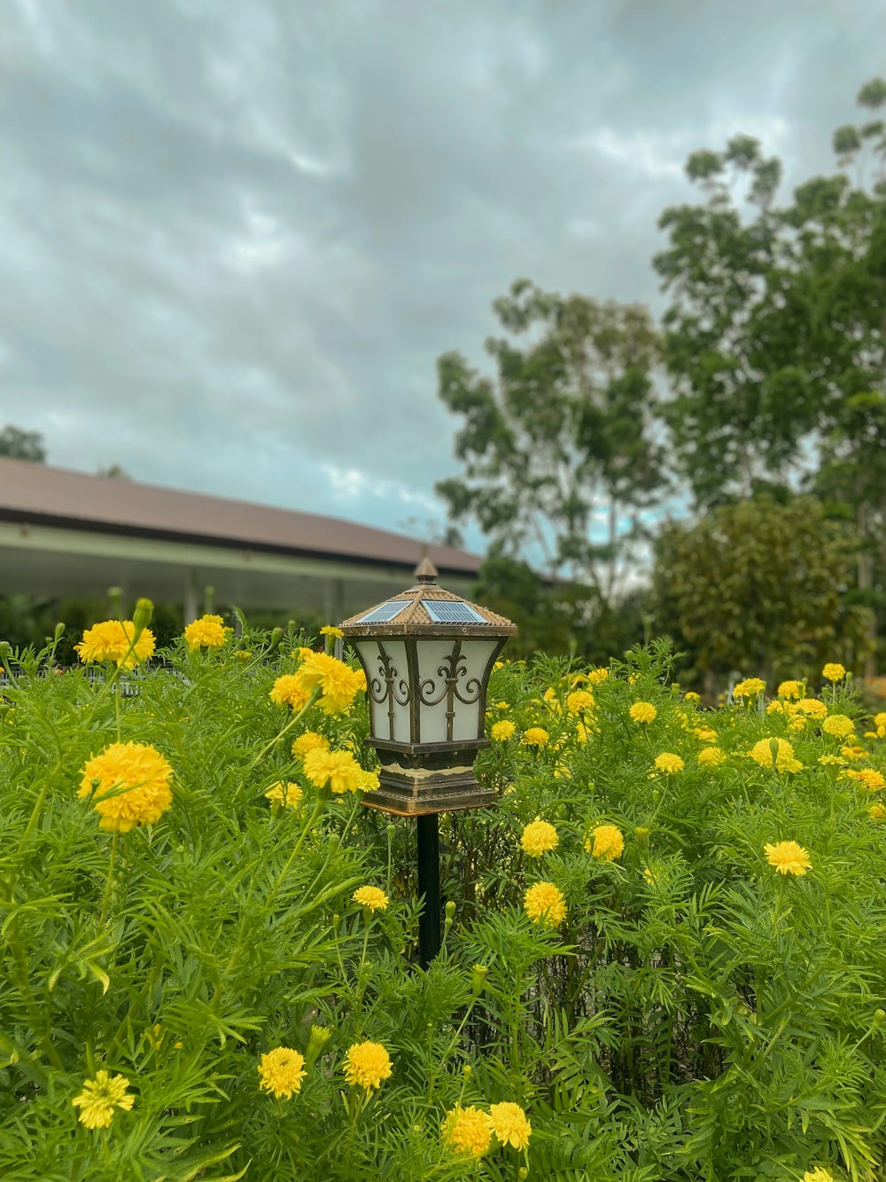 a bird feeder in a field of flowers