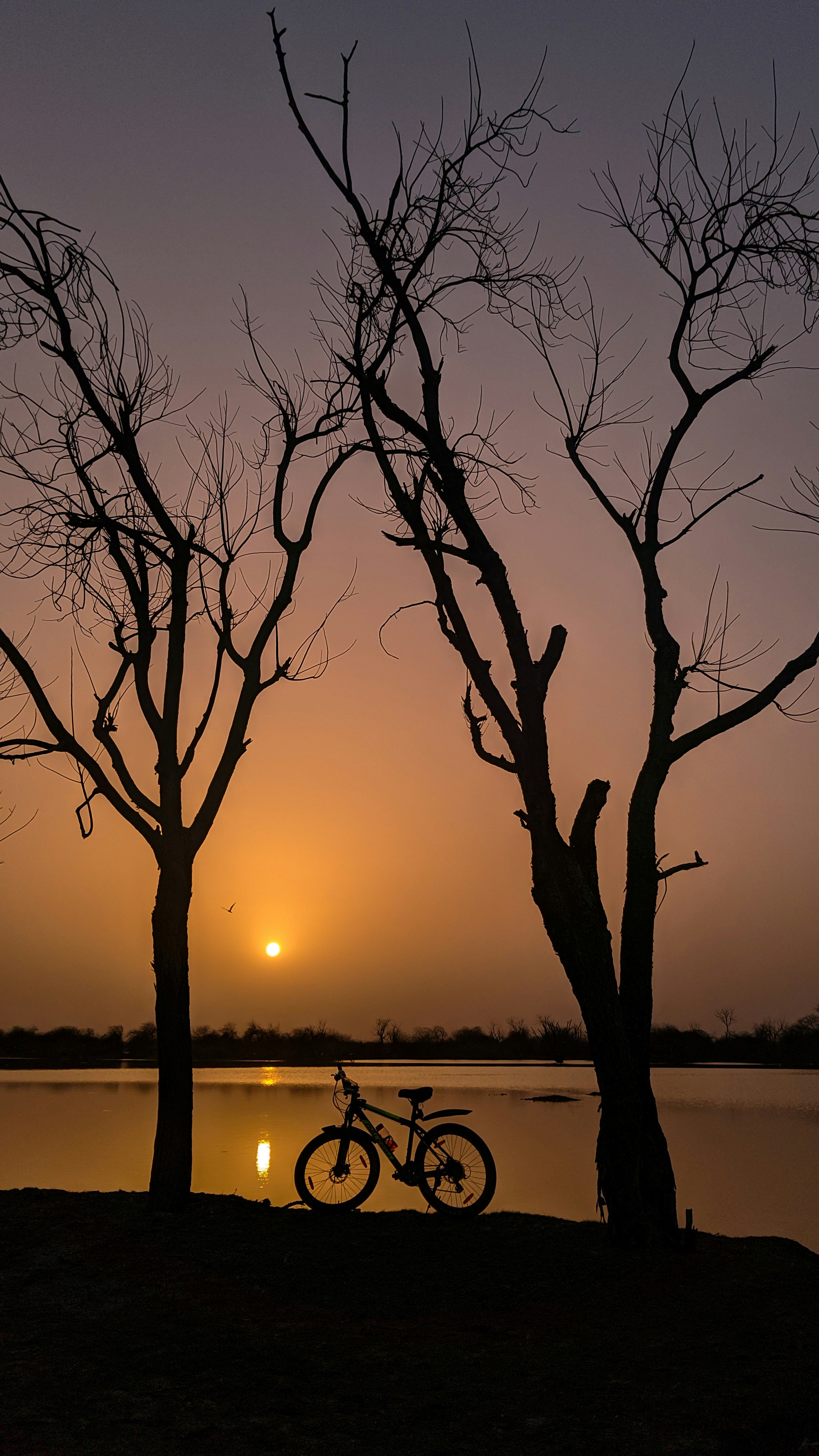 Photo by jashsojitra