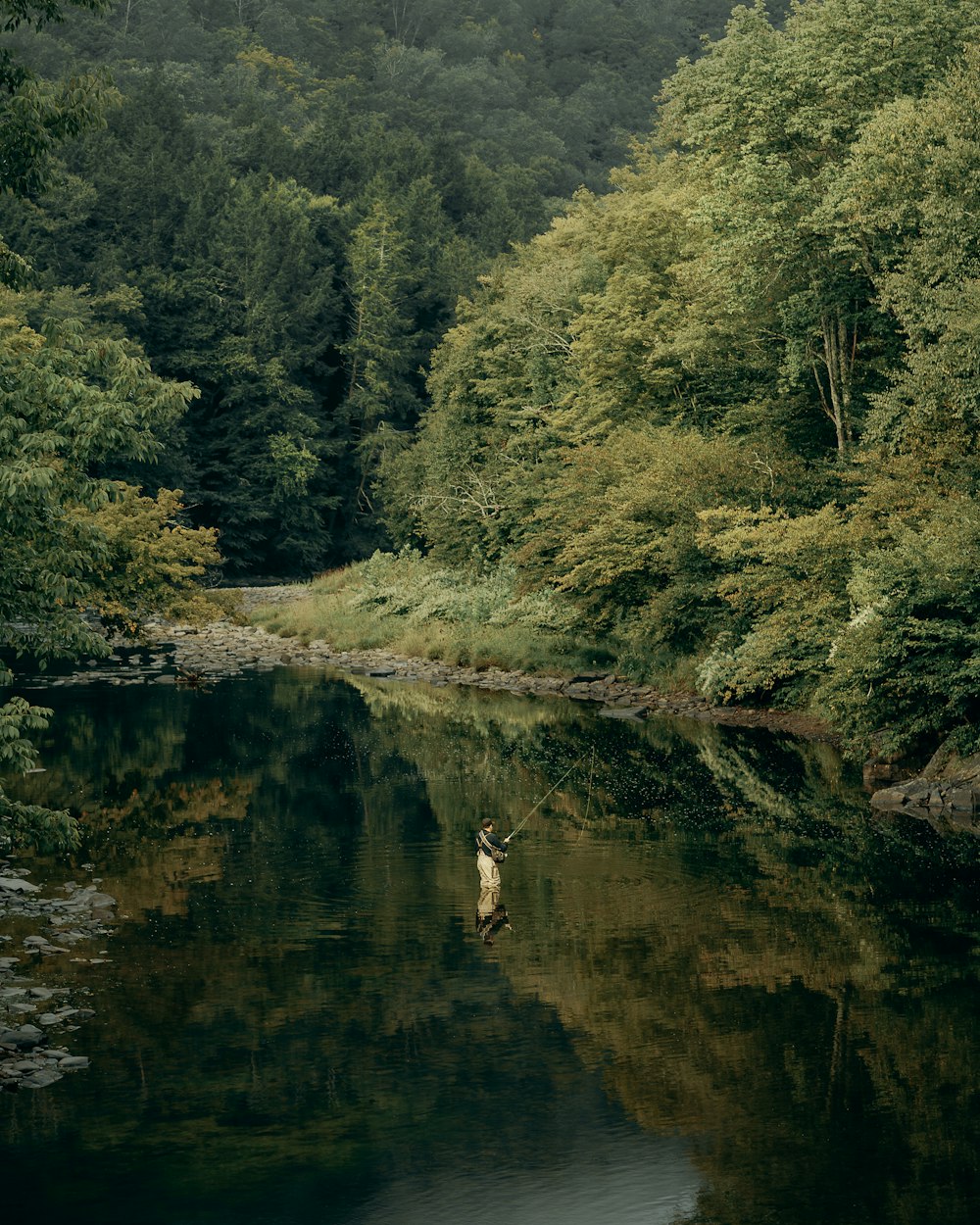 a river with trees on the side