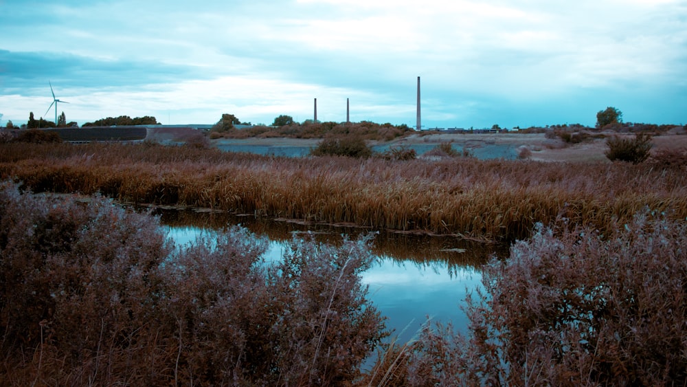 a marshy area with a body of water in the distance