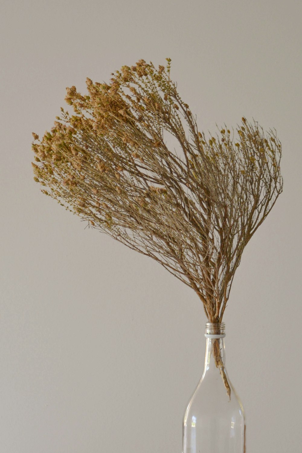 a vase with dried flowers
