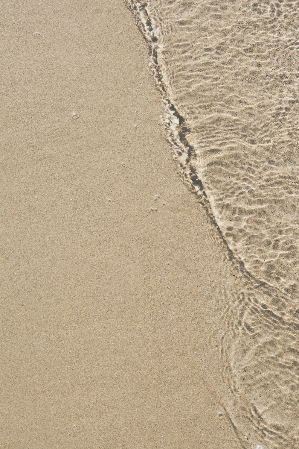 a close-up of a beach