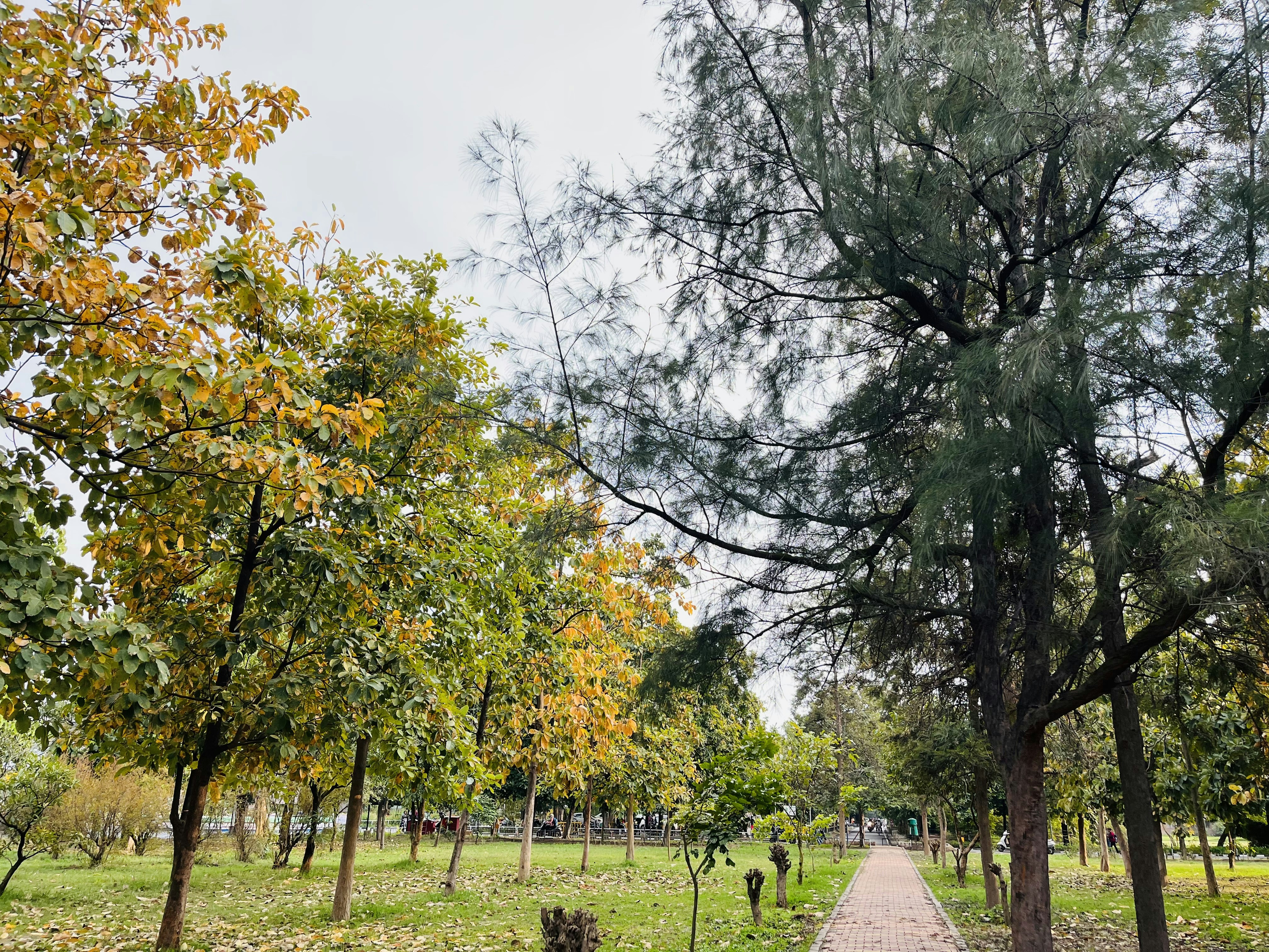 Photo by samridhis25