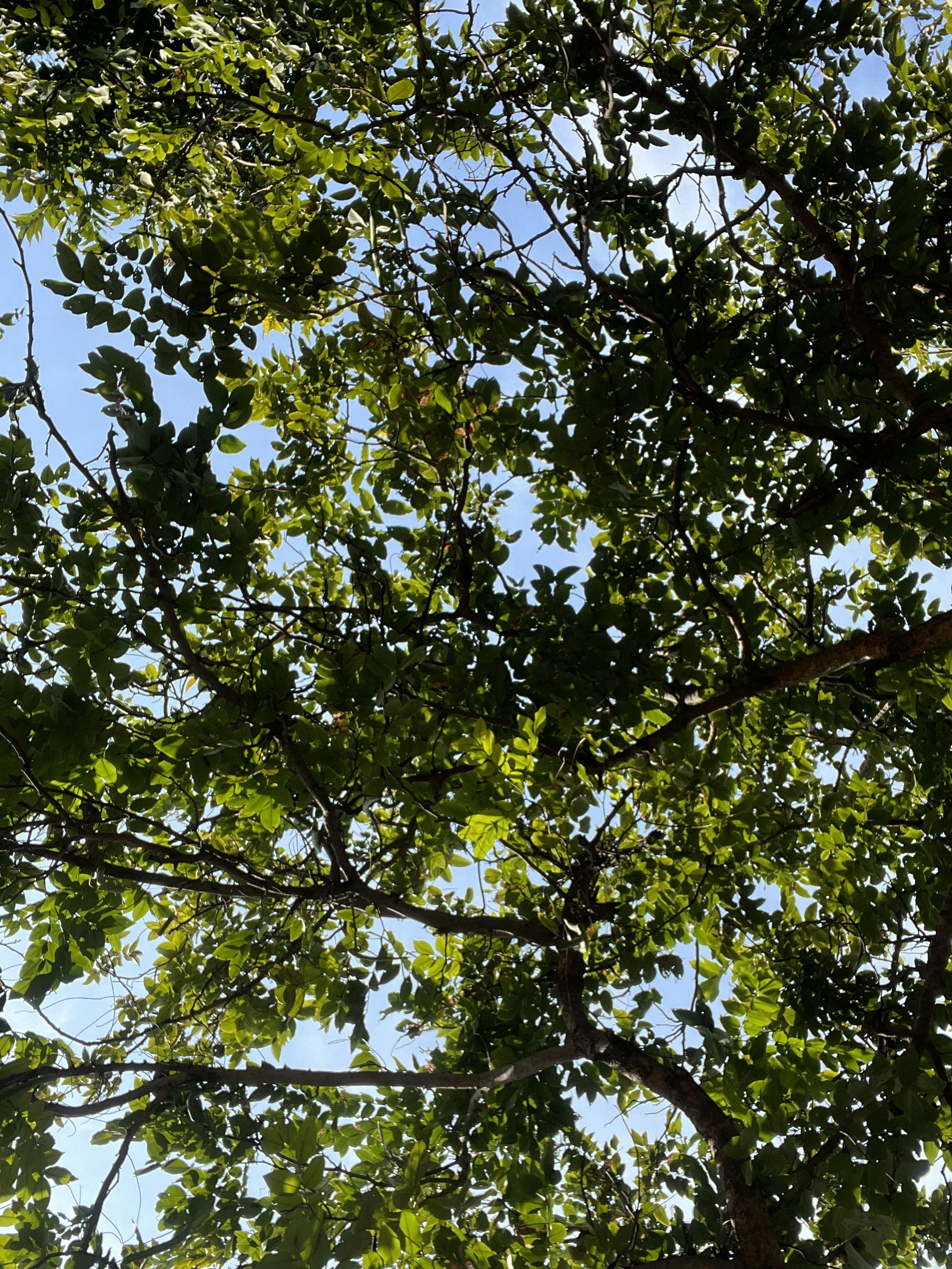 Photo by samridhis25