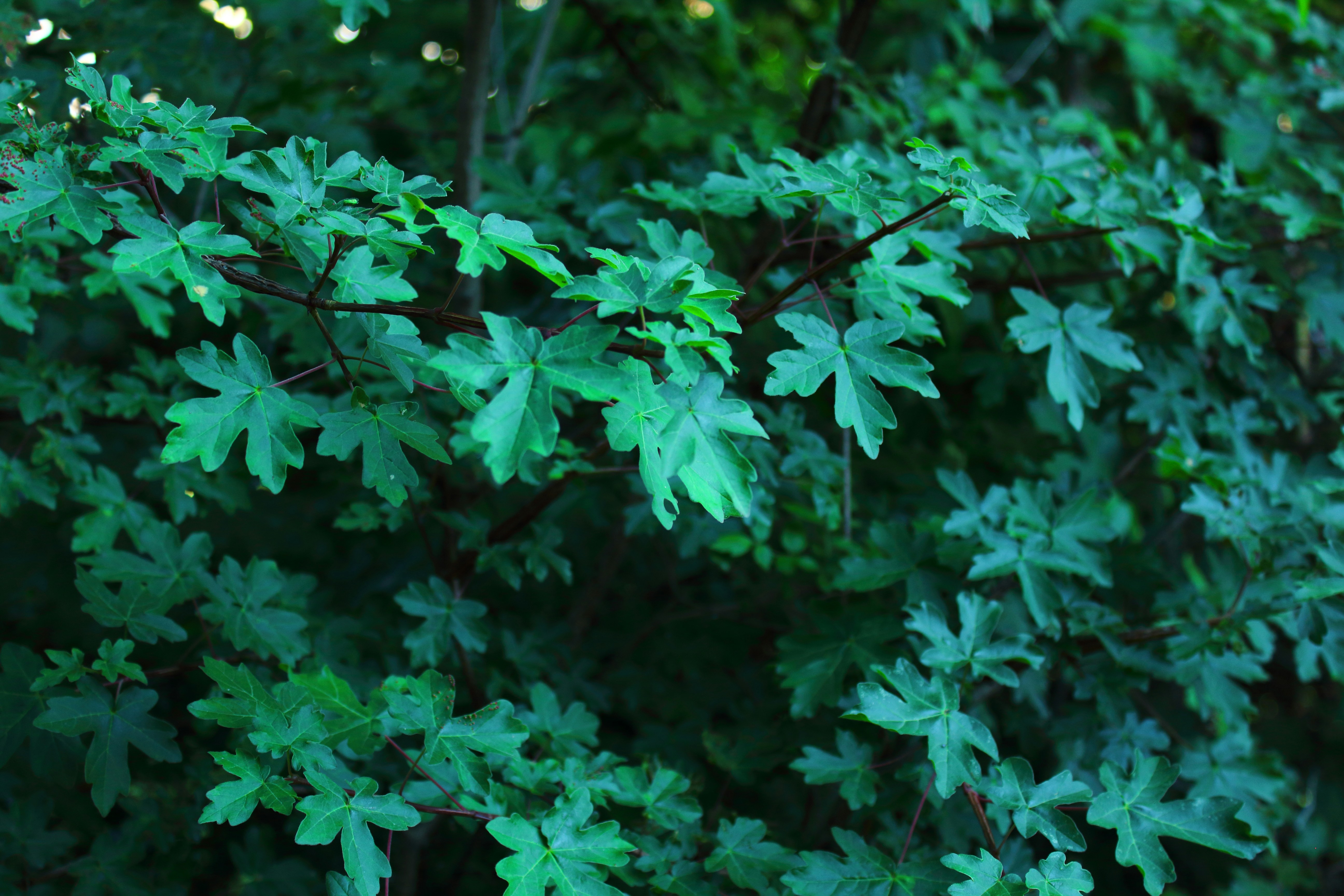 Photo by lucreziaforfriends