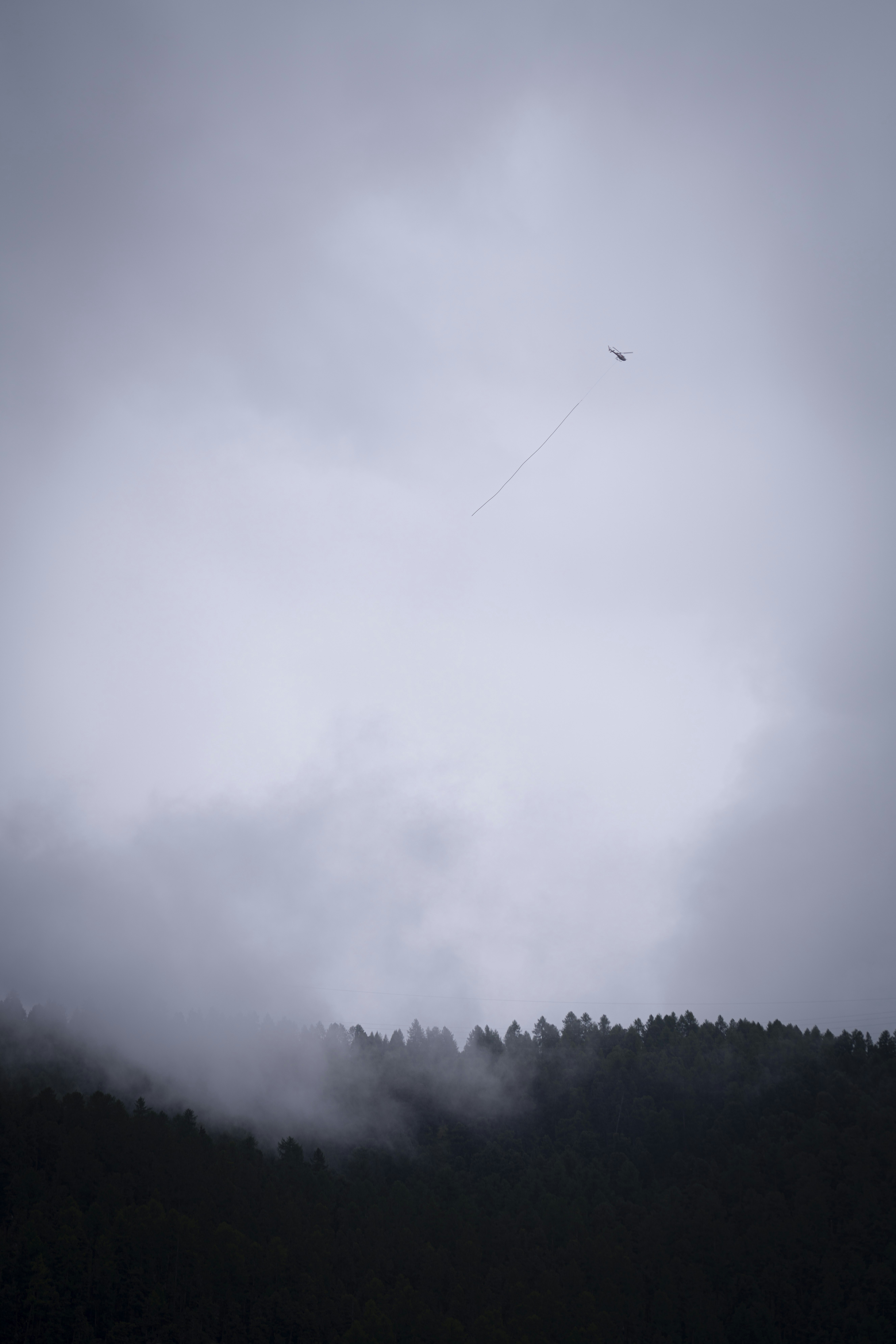 A kite flying in the sky photo – Free Animal Image on Unsplash
