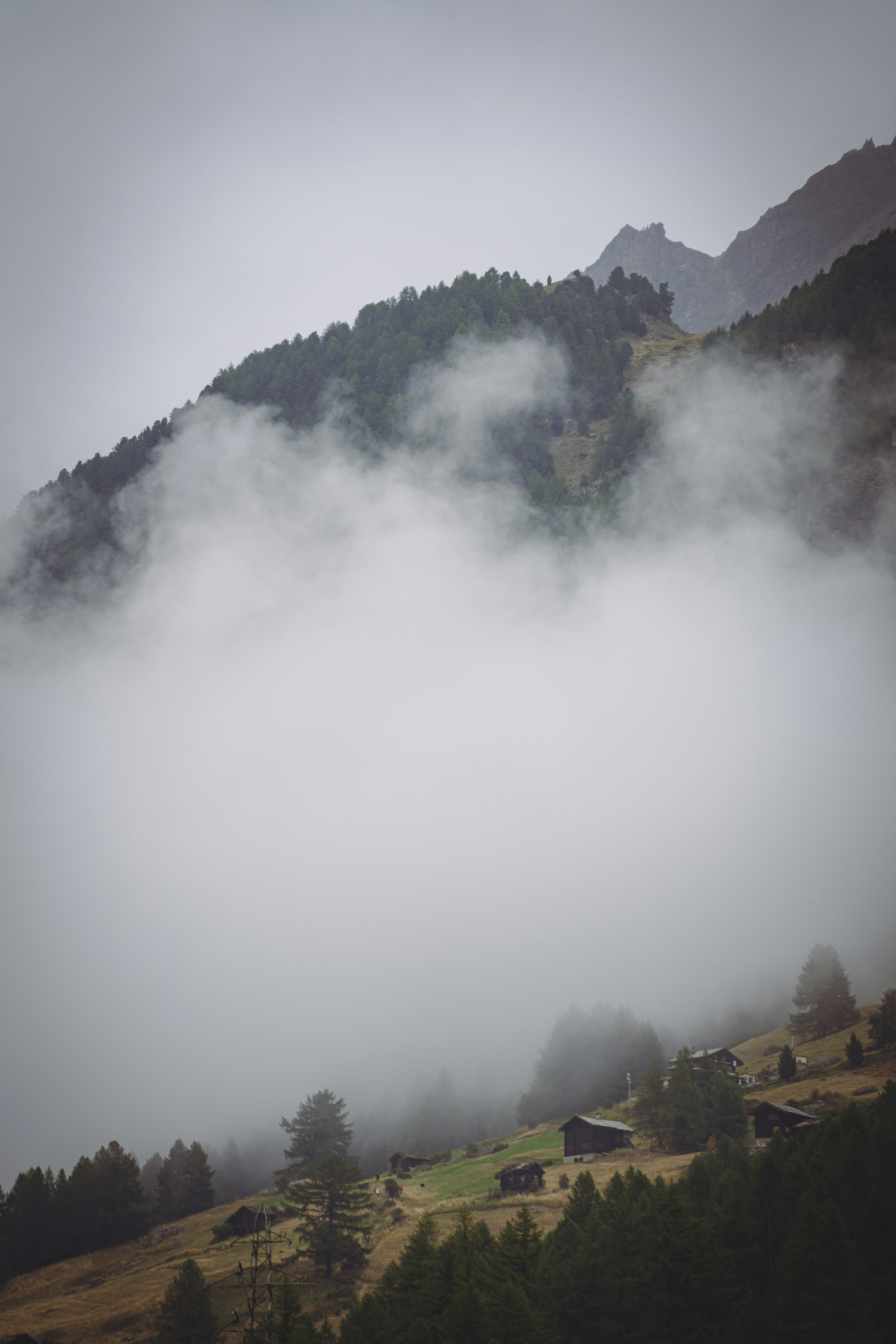 Photo by opohmelka