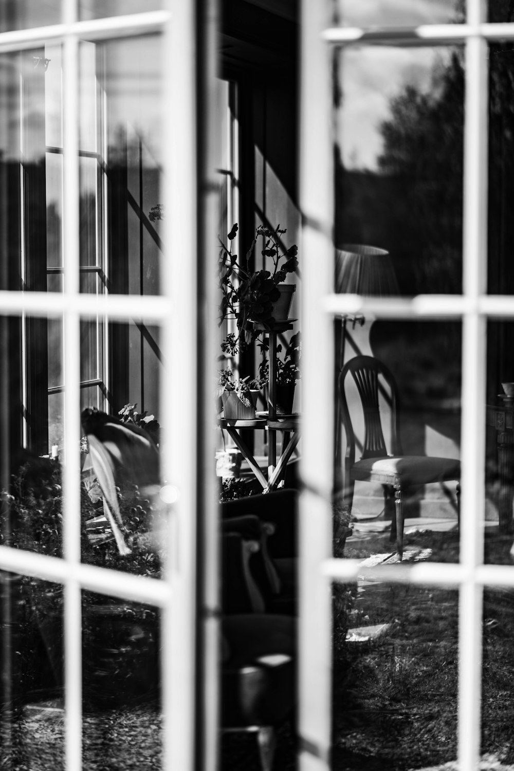 a window with a bird feeder