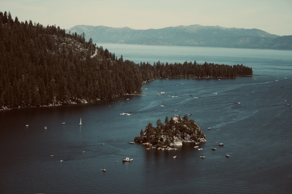 a body of water with trees and a rock in it