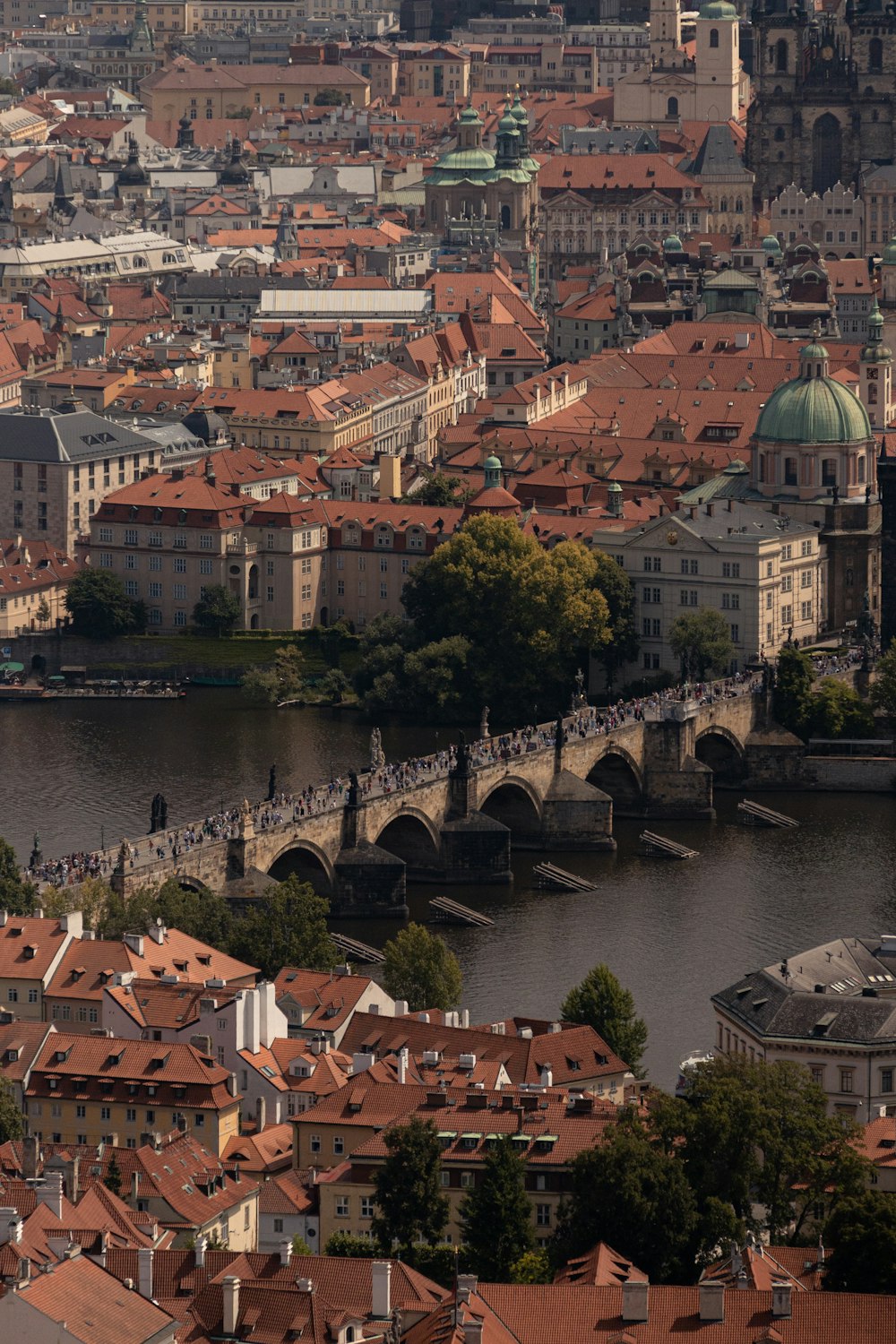 a bridge over a river in a city