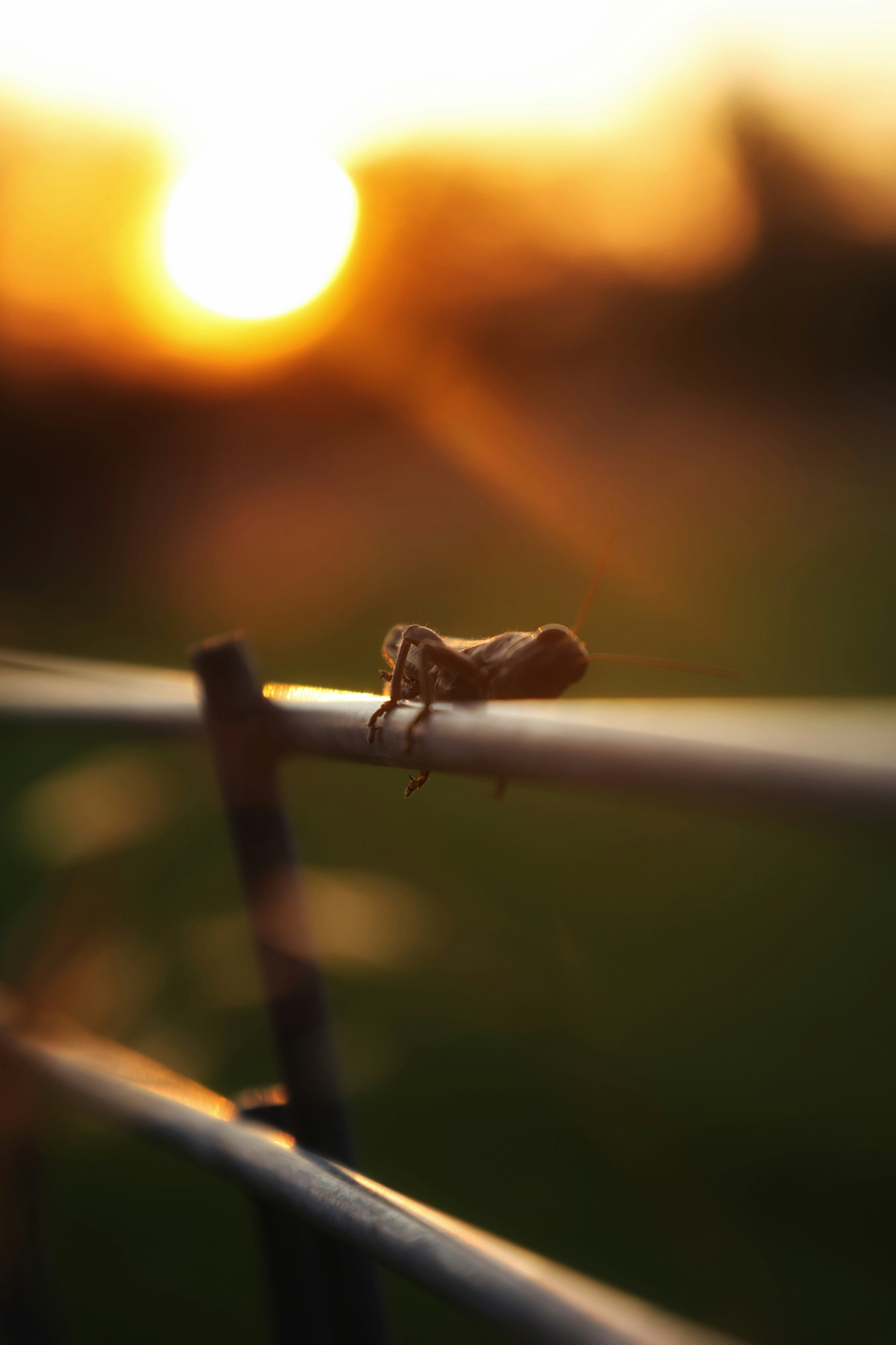 Photo by joshua_hoehne