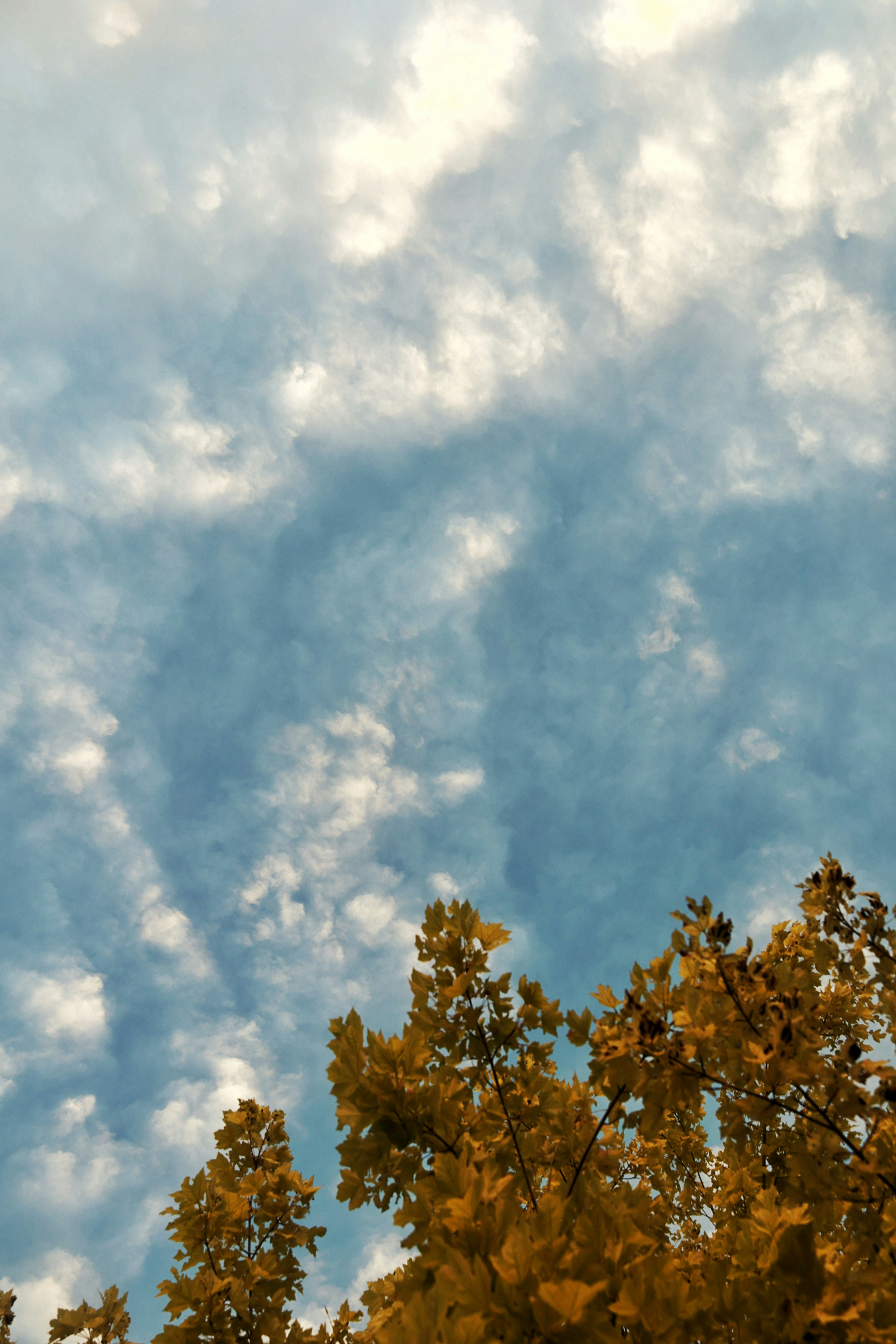 Photo by joshua_hoehne